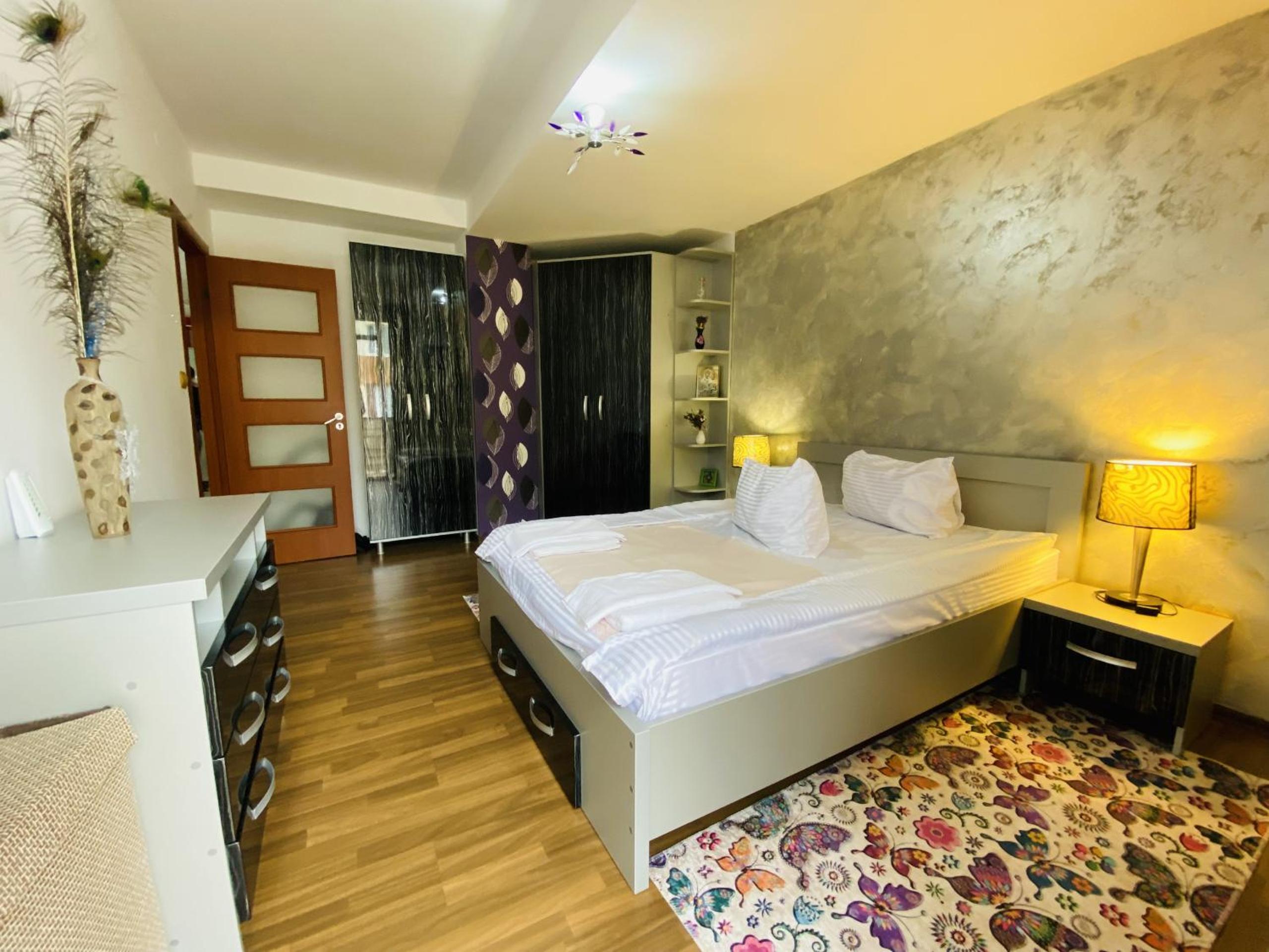 Charming Flat in Bistrita