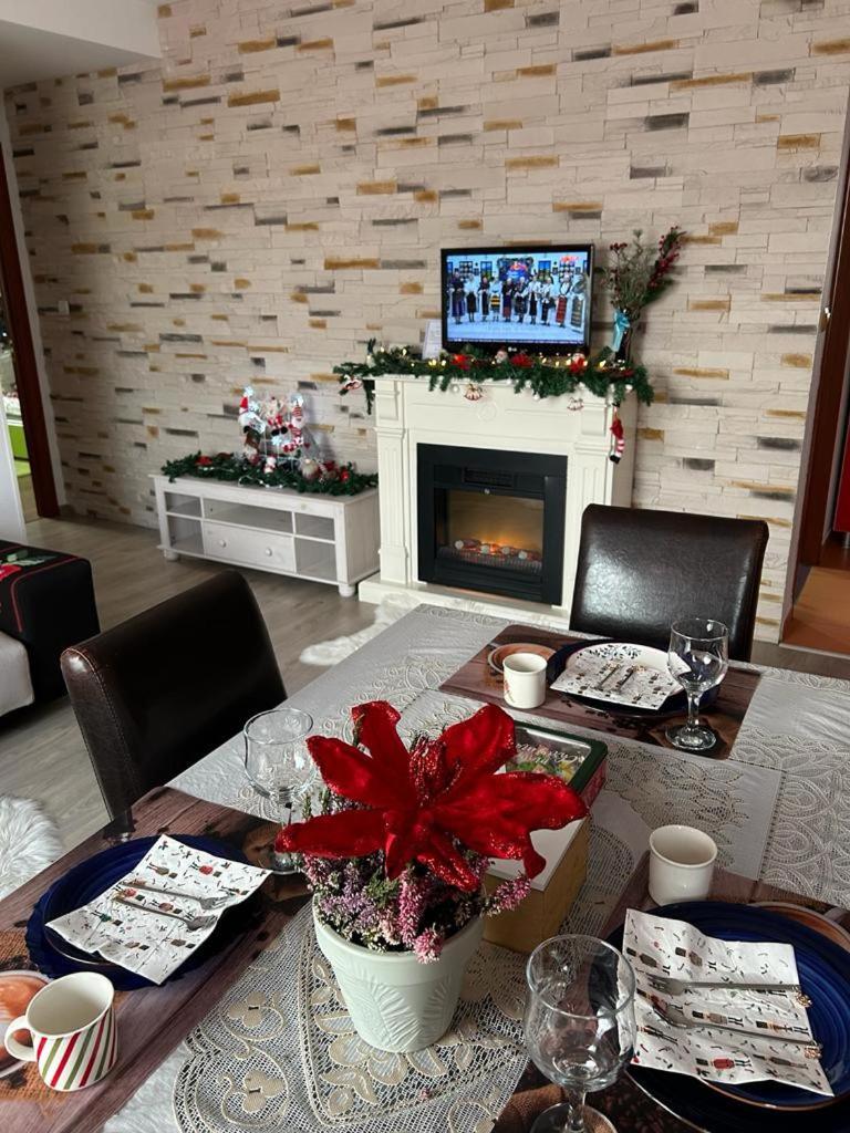 Charming Flat in Bistrita