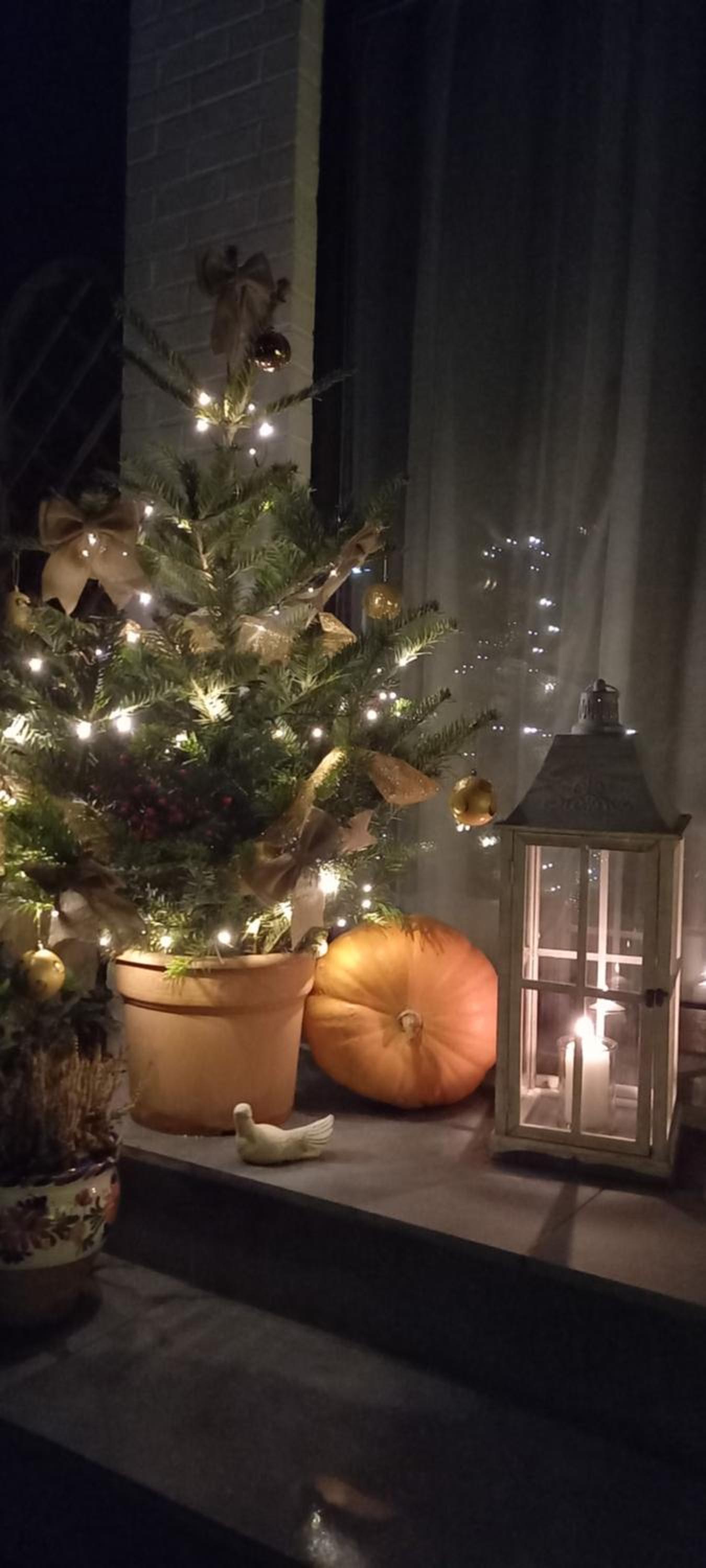 Côté Cosy