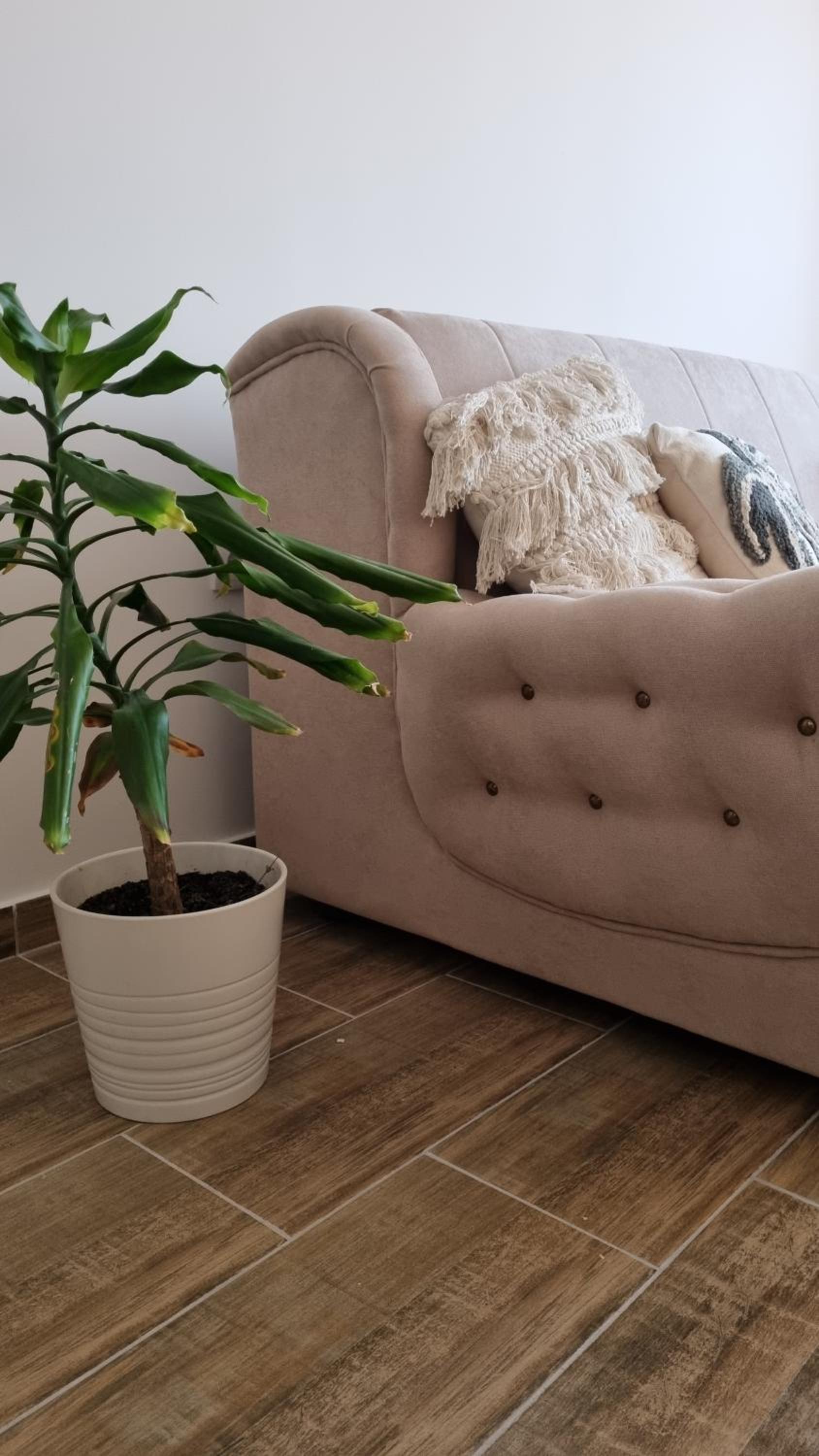 City Center Hideaway