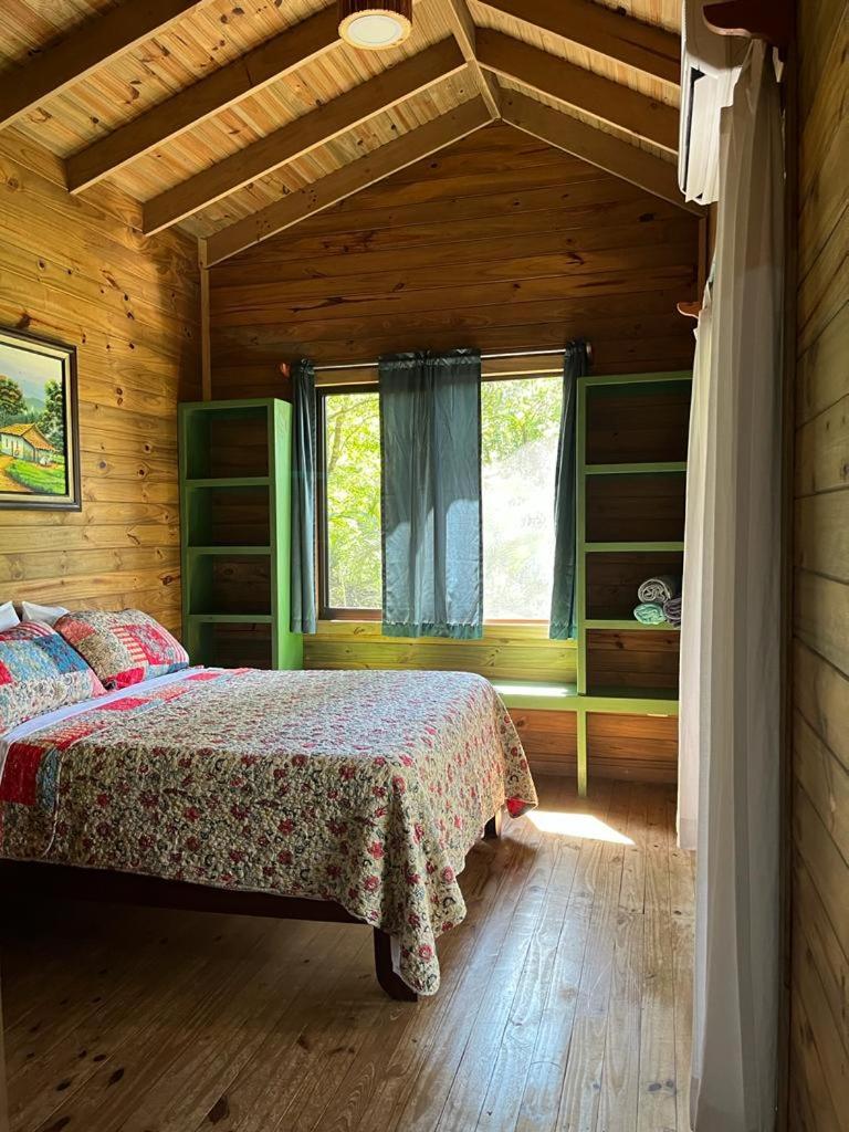 CASITAS GINGER