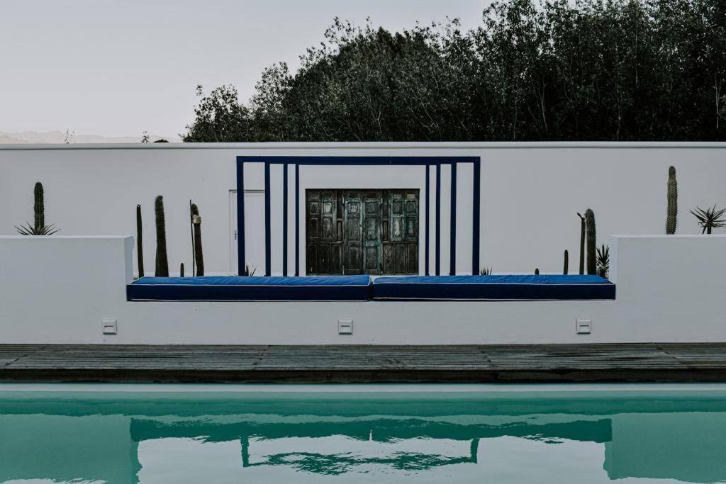 Dodo House