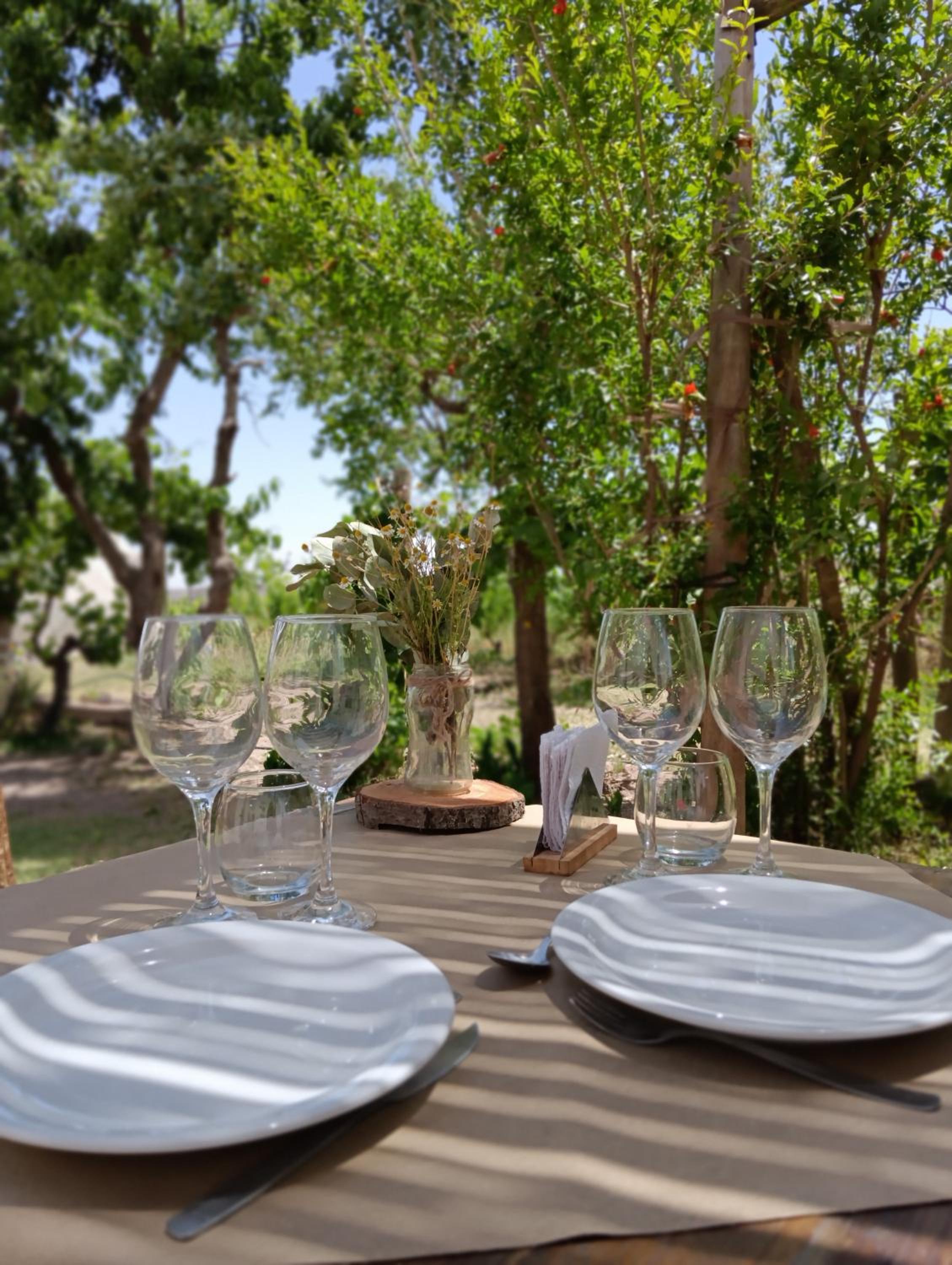 Entre racimos, glamping entre viñedos en bodega