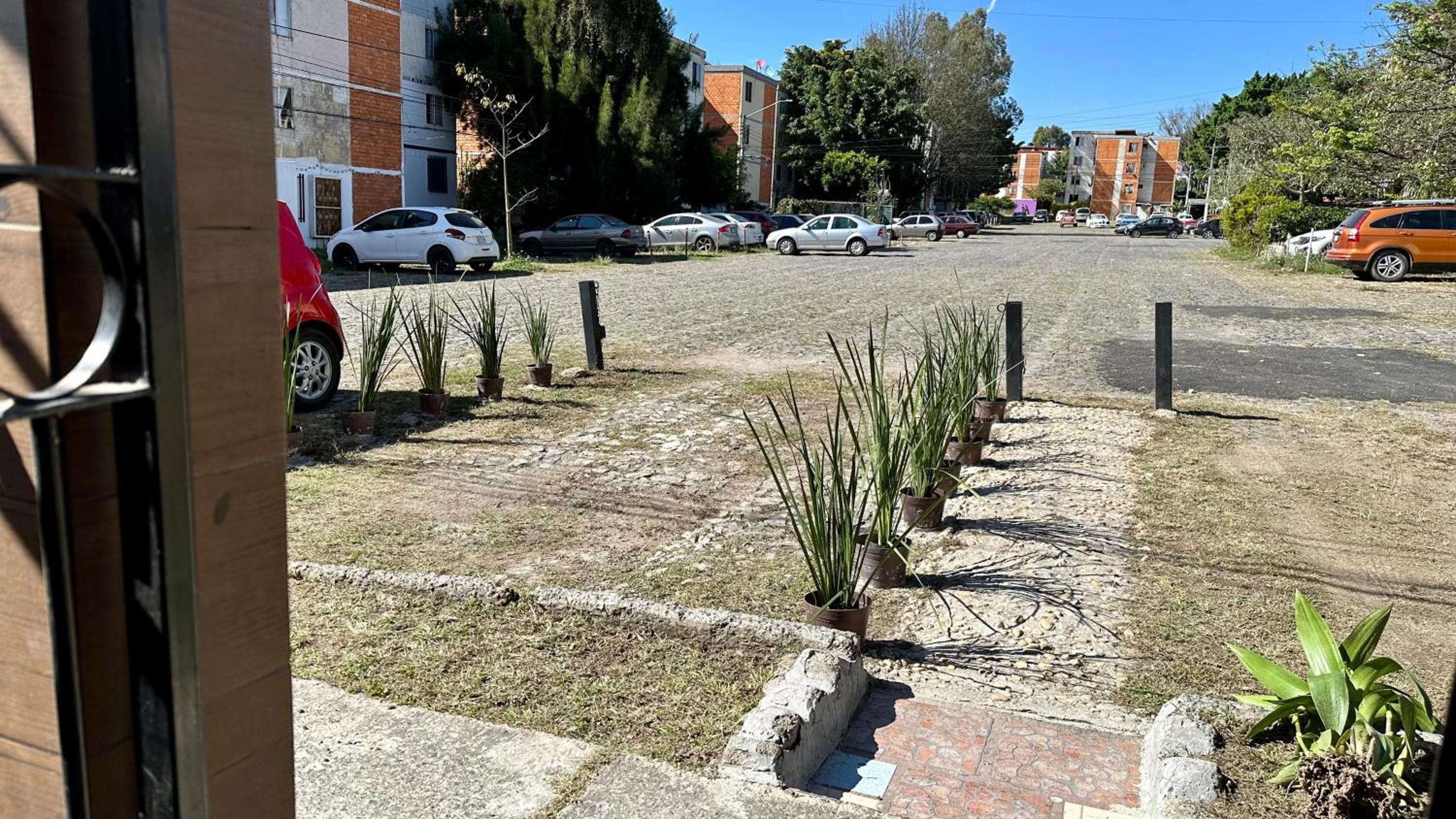 Photo 25