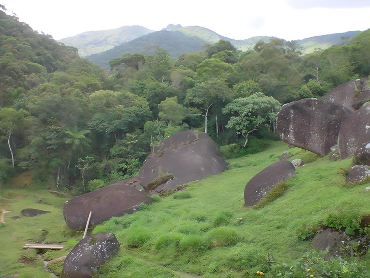 Sitio na Serra da Mantiqueira Águas do Canjarana