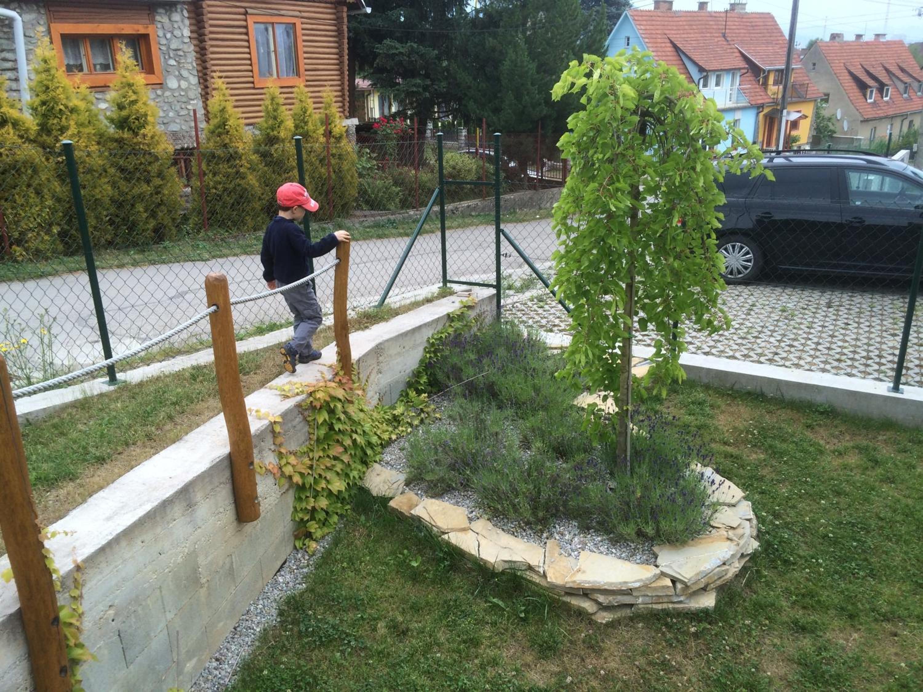 Photo 12