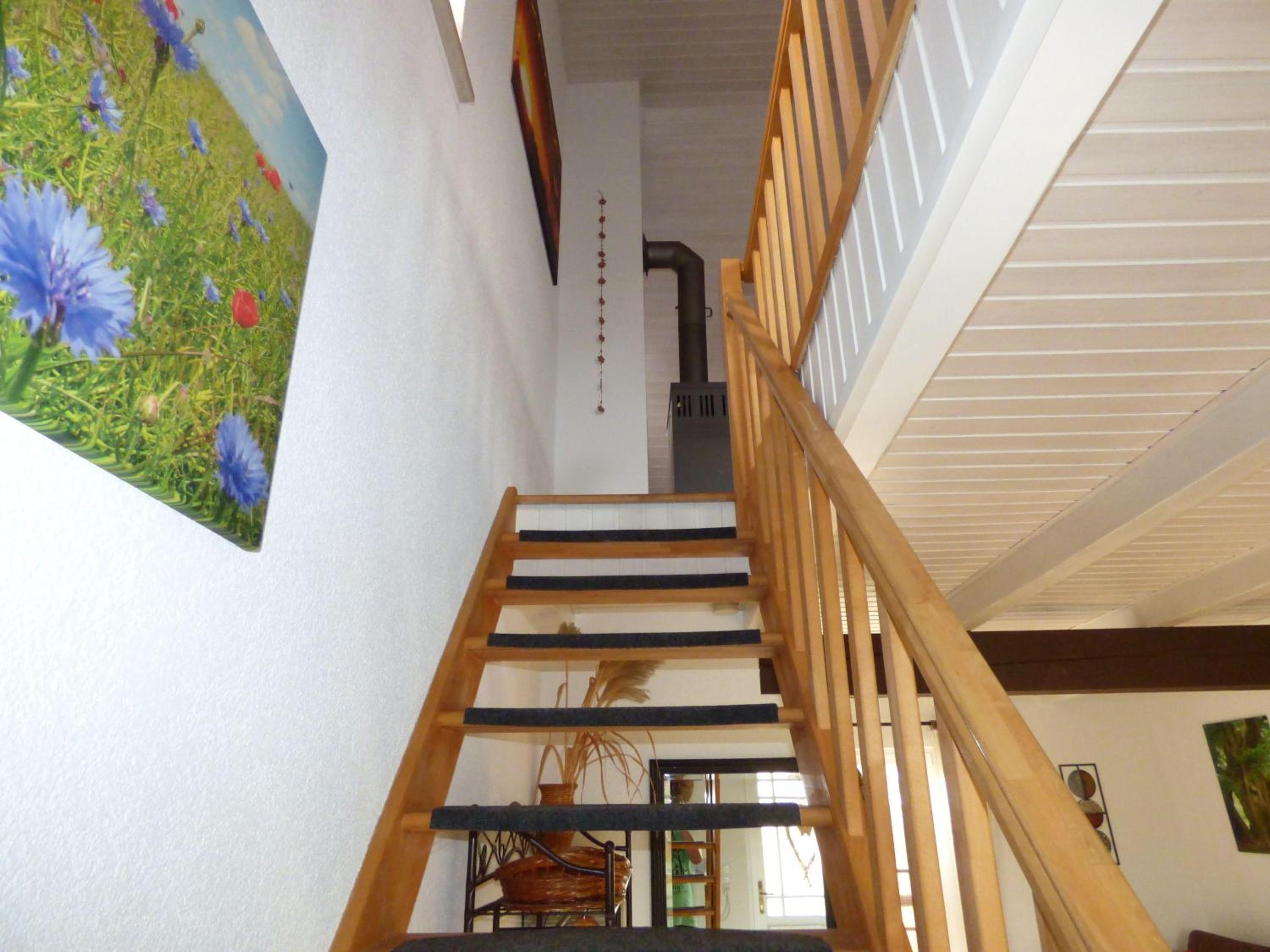 Ferienhaus-Natur-Erholung-Pur-Mecklenburgische-Seenplatte-zwischen-Mueritz-und-Ostsee