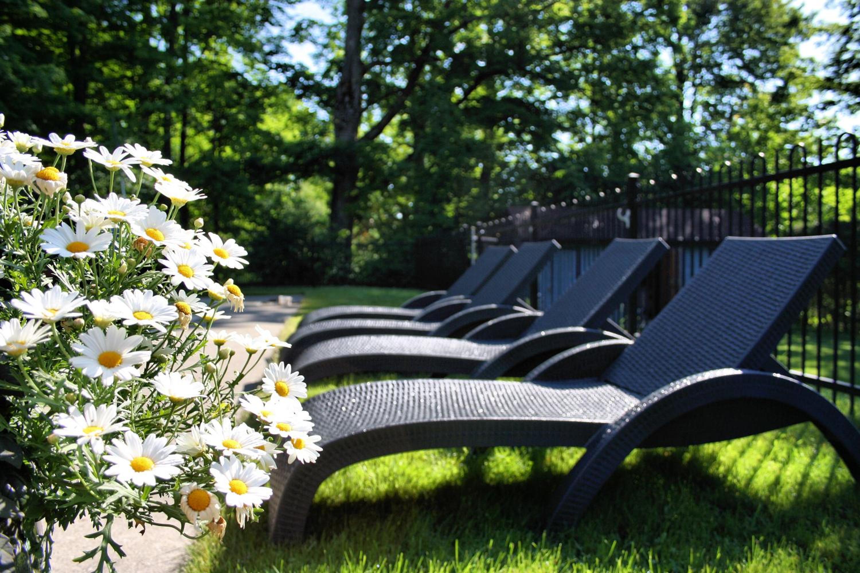 Domaine Jolivent