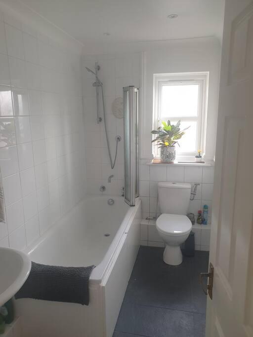 Peaceful room on sharing flat in Wimbledon
