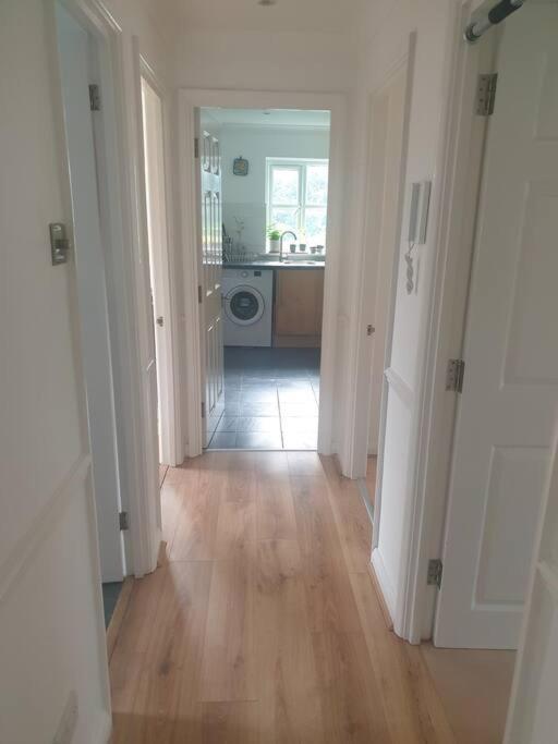 Peaceful room on sharing flat in Wimbledon