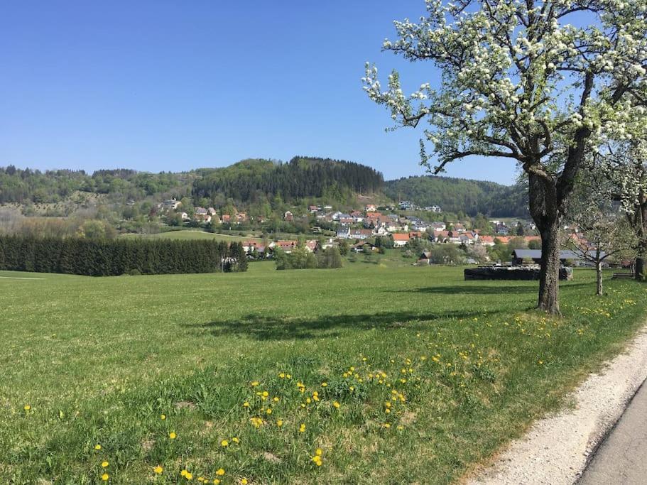 Ferienwohnung Albliebe