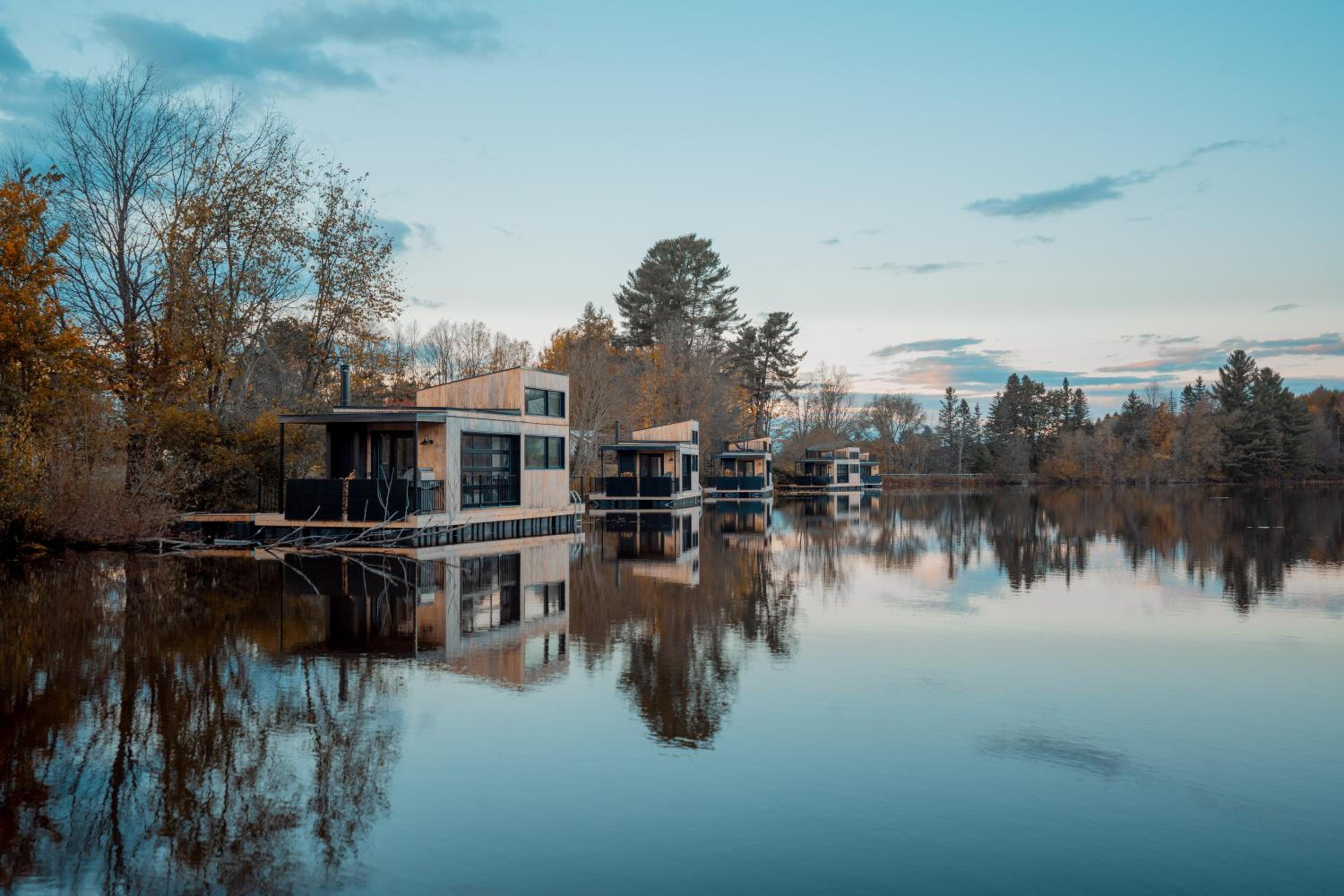 MiniBora Le beaumier - Cantons-de-l'Est