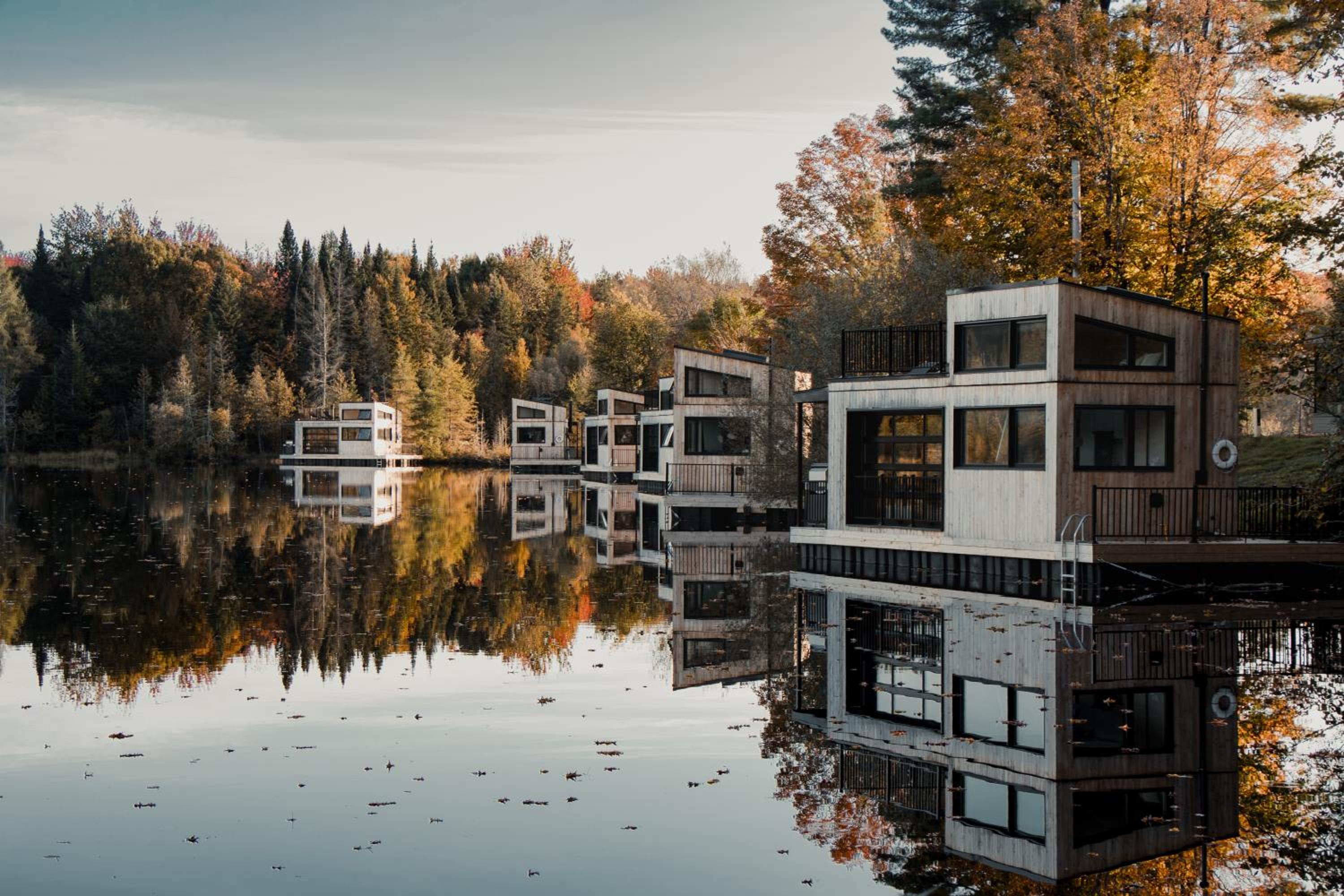 MiniBora Le beaumier - Cantons-de-l'Est