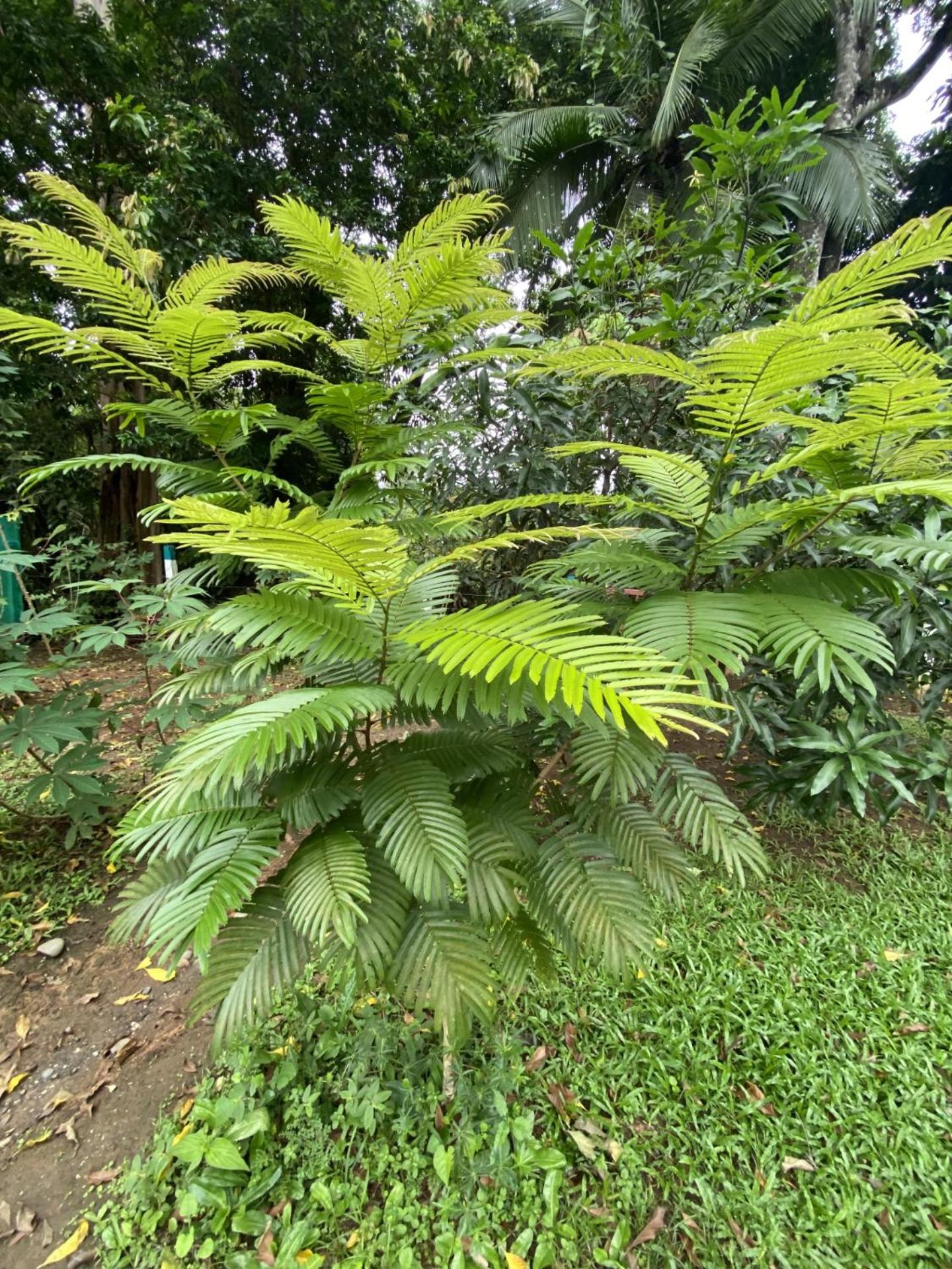 Casa Rio Verde