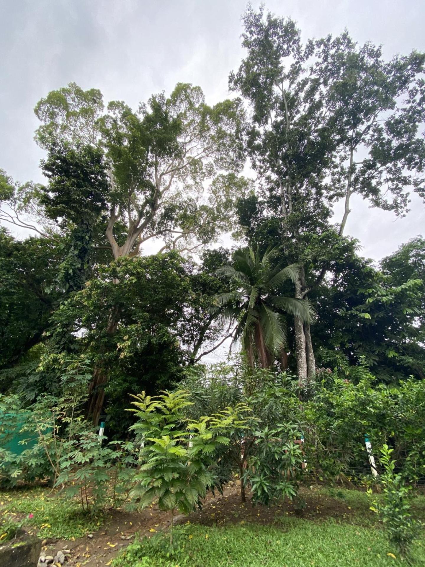 Casa Rio Verde