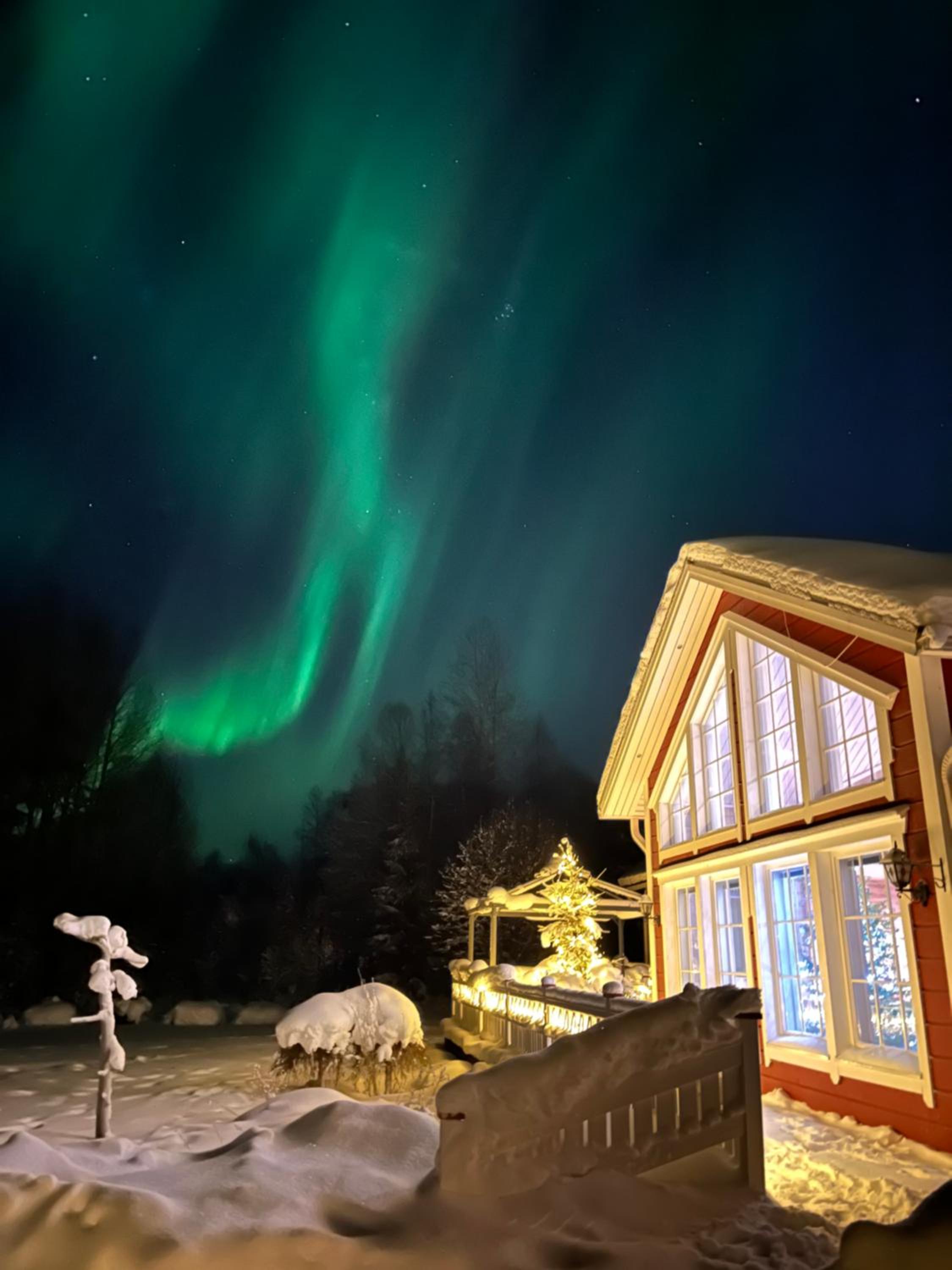 Arcticmint