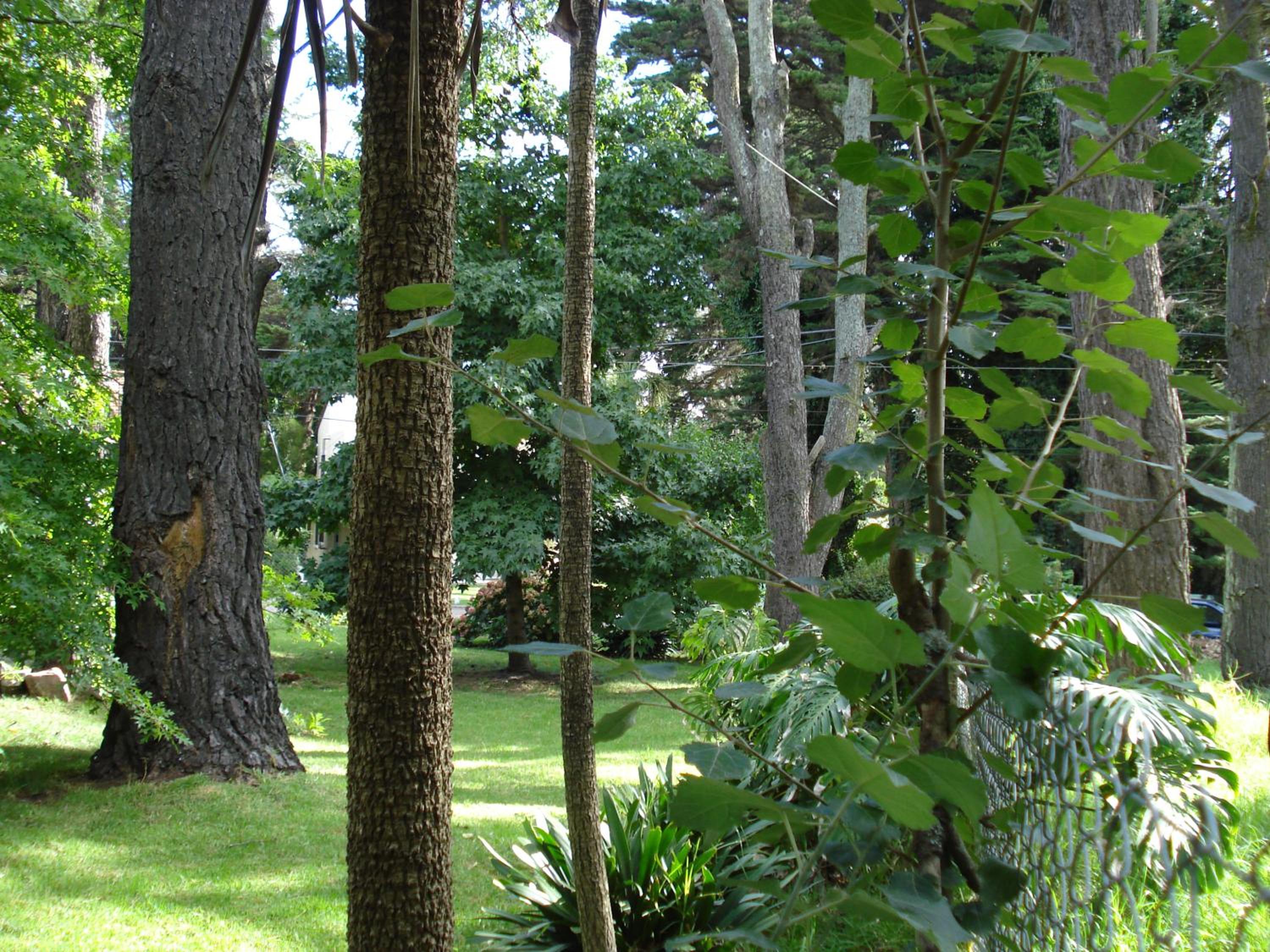 Cabaña en el Bosque Peralta Ramos, Mar del Plata, 4/5 huespedes.