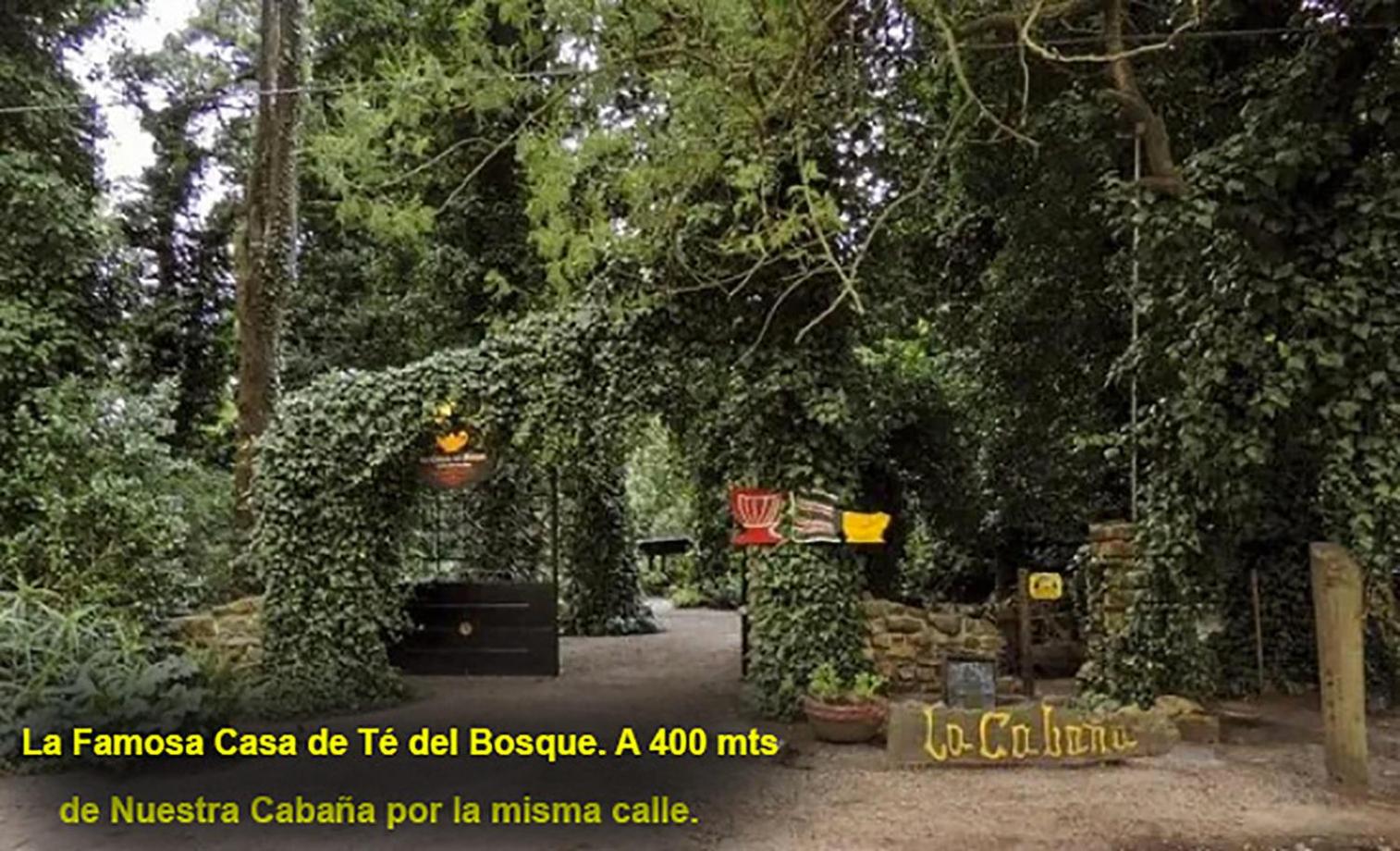 Cabaña en el Bosque Peralta Ramos, Mar del Plata, 4/5 huespedes.