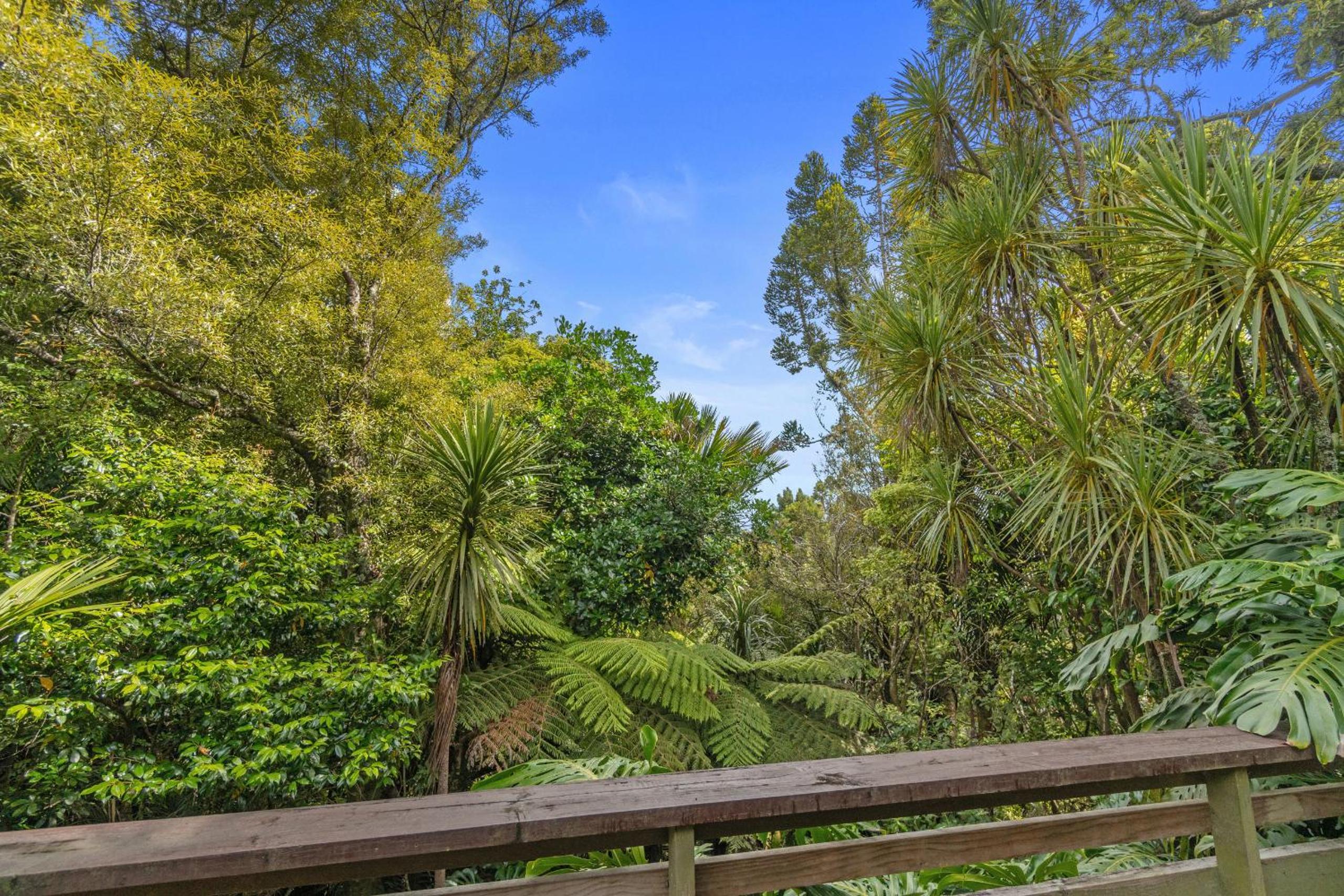 Treetop Sanctuary - Titirangi Holiday Home view 2
