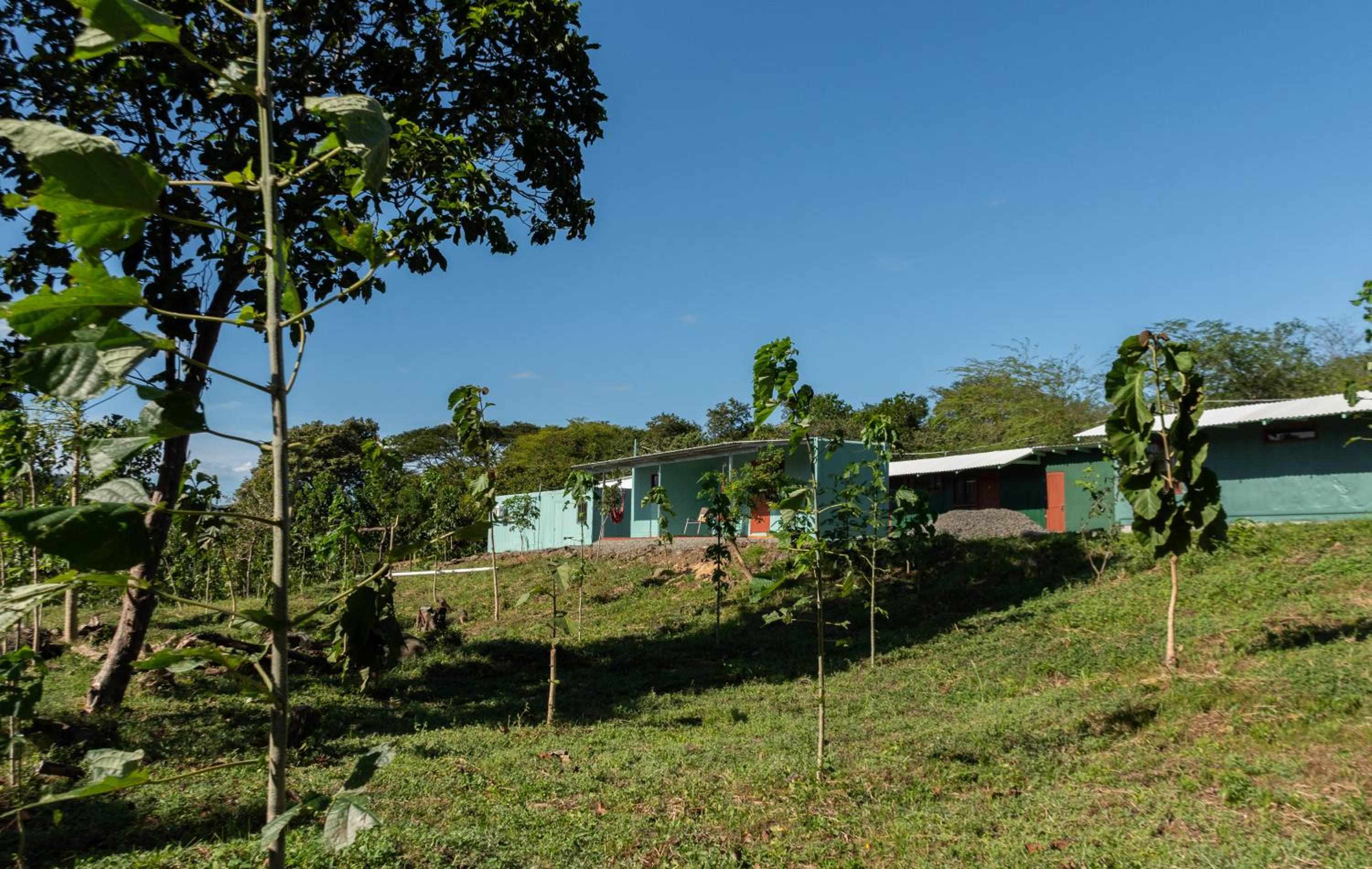 Sueno Dorado