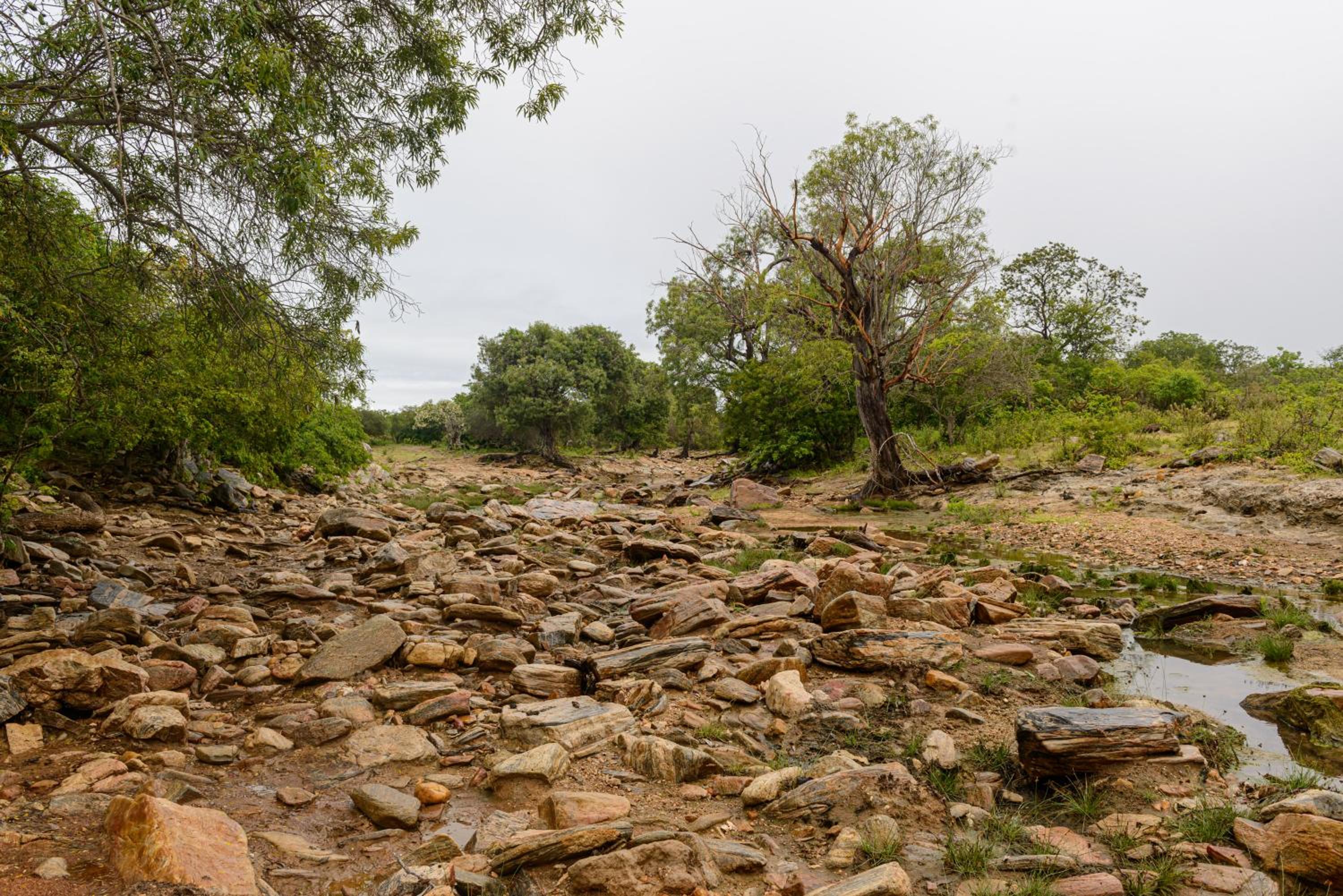 Fazenda Poço das Pedras