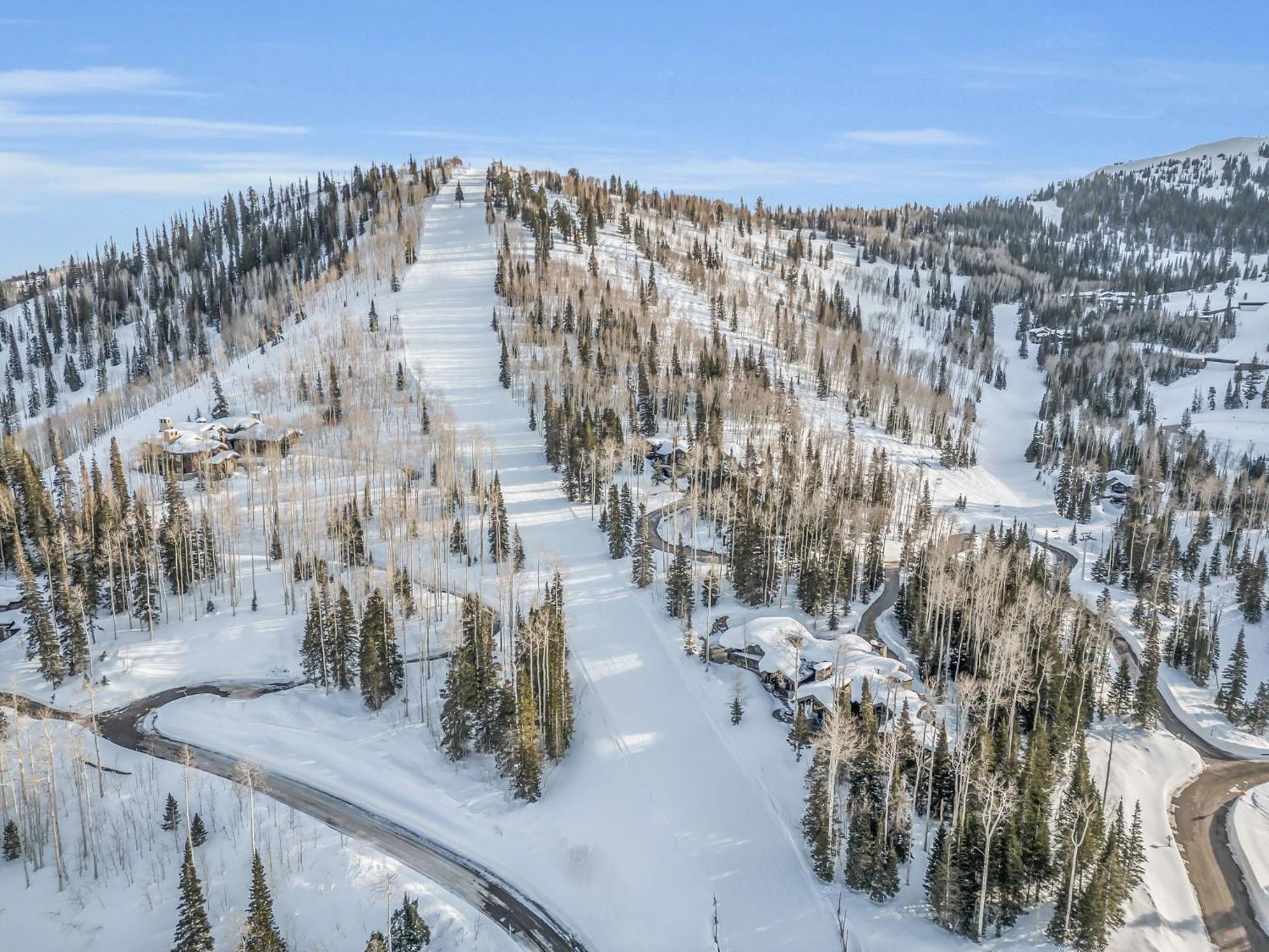 Snow Meadow at The Colony