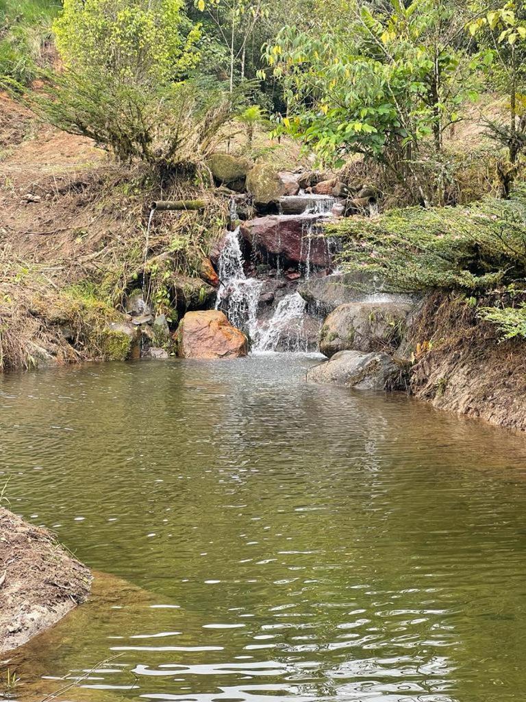 Finca Mamatoya 1 Río Negro view 2