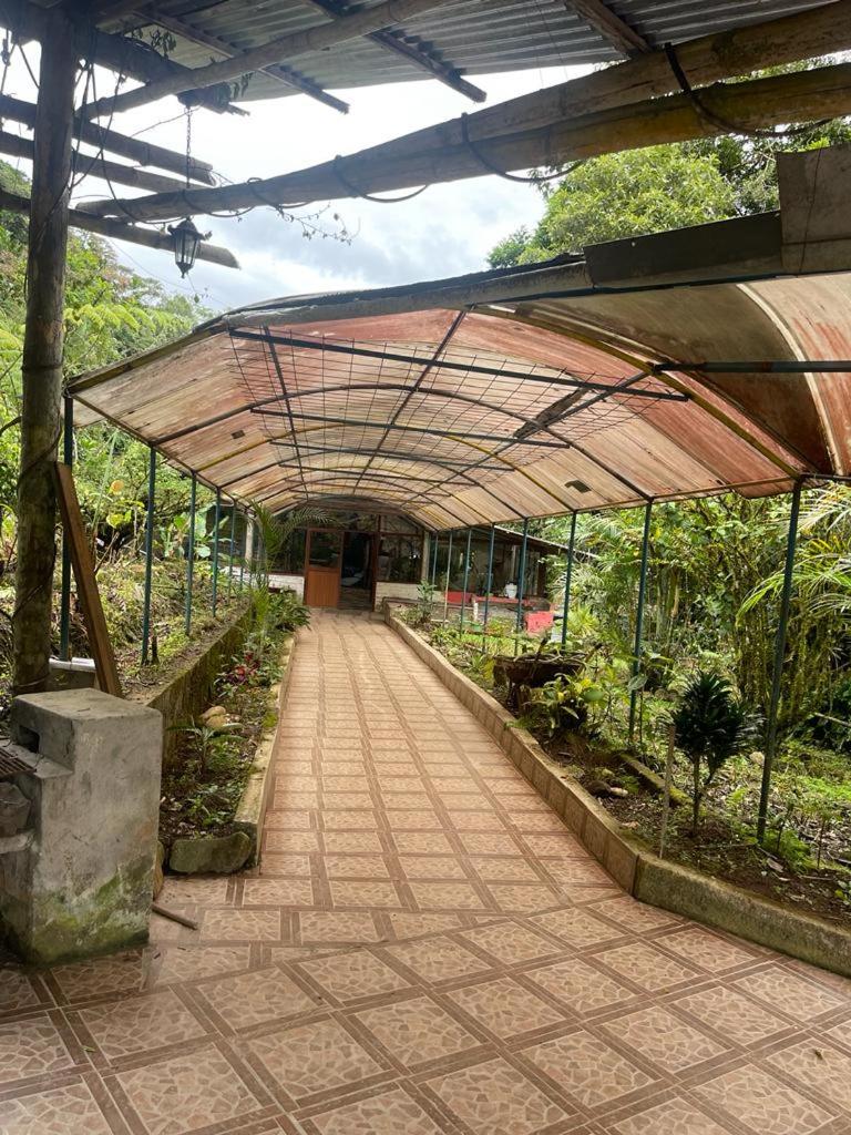 Finca Mamatoya 1 Río Negro view 4