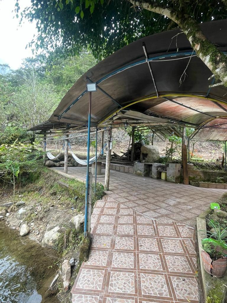Finca Mamatoya 1 Río Negro view 5