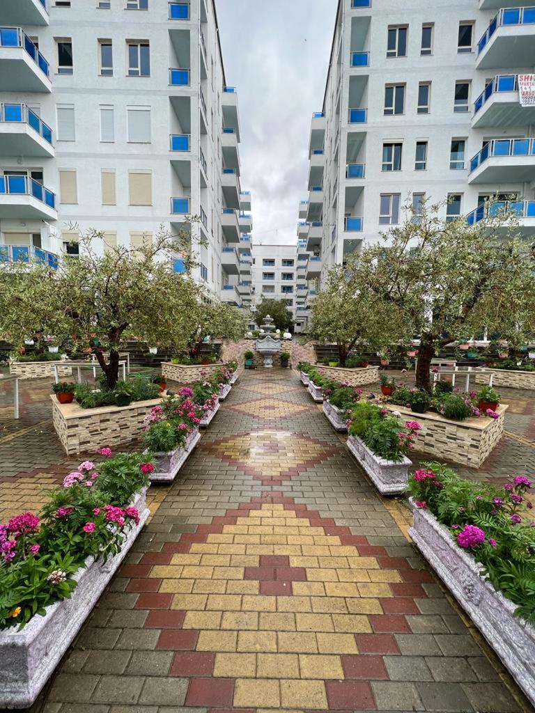 Tushemisht Apartment Rent 2