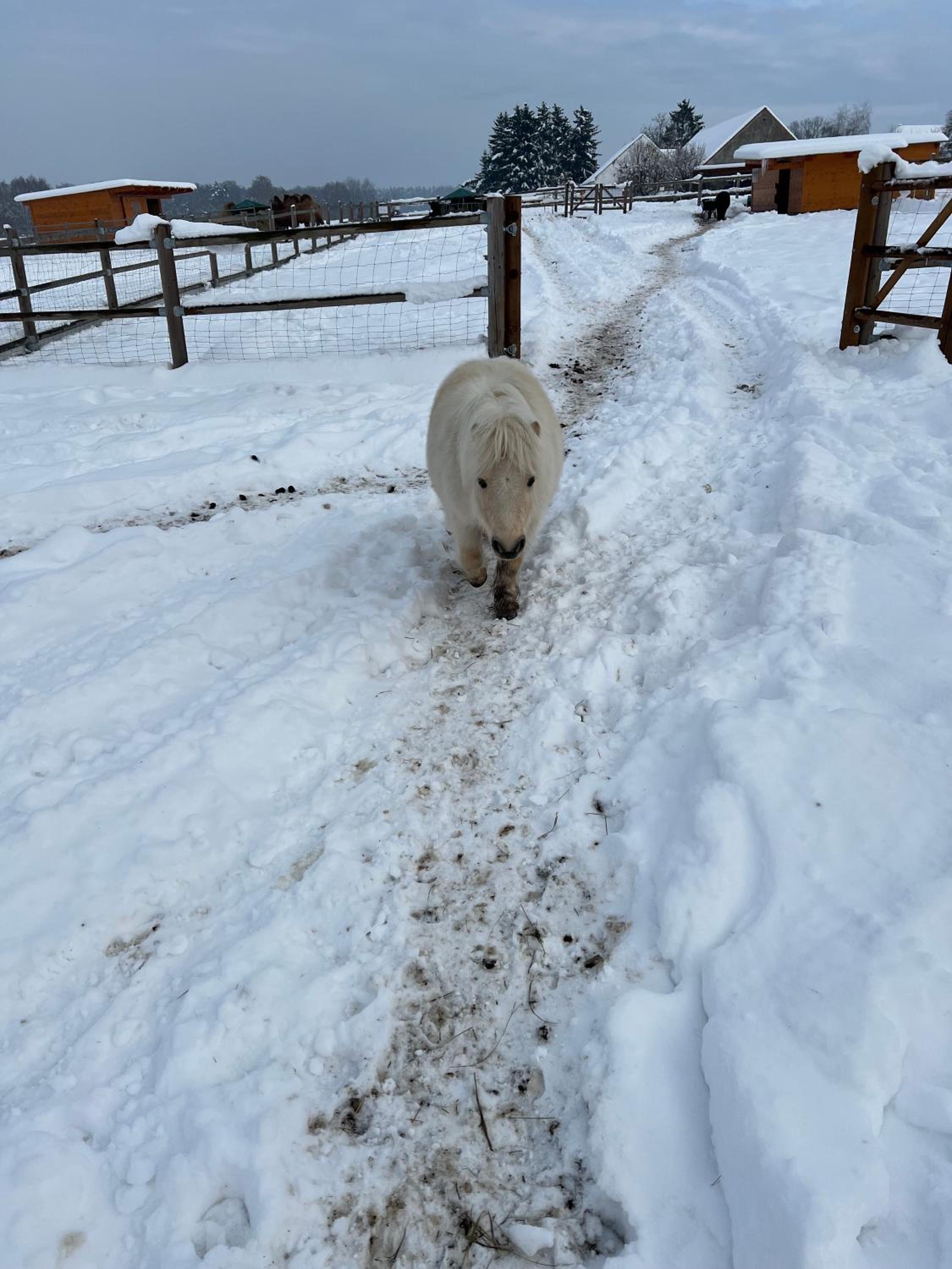 Wellness zoo apartmány Lhota