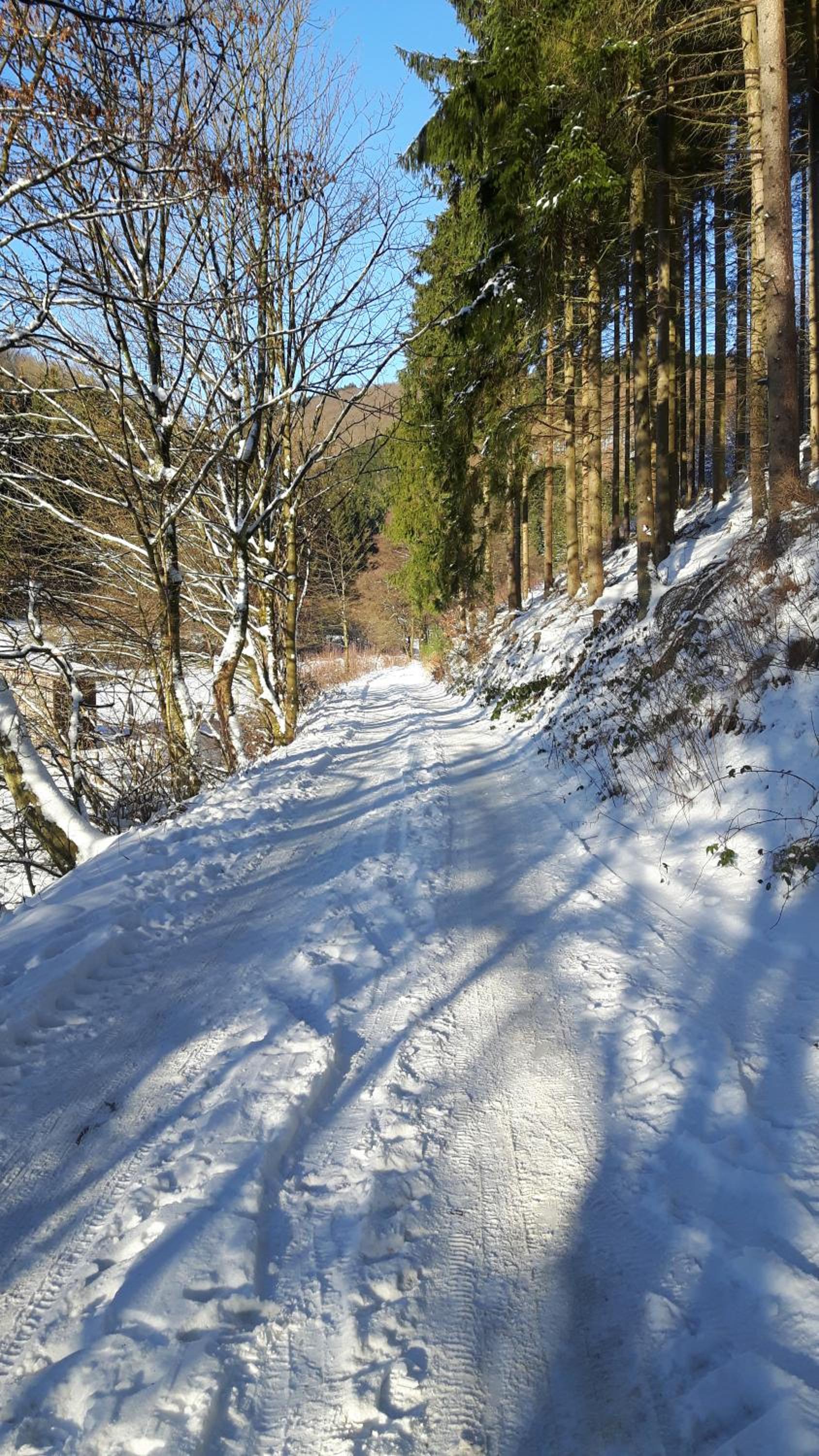 Landhaus im Grund