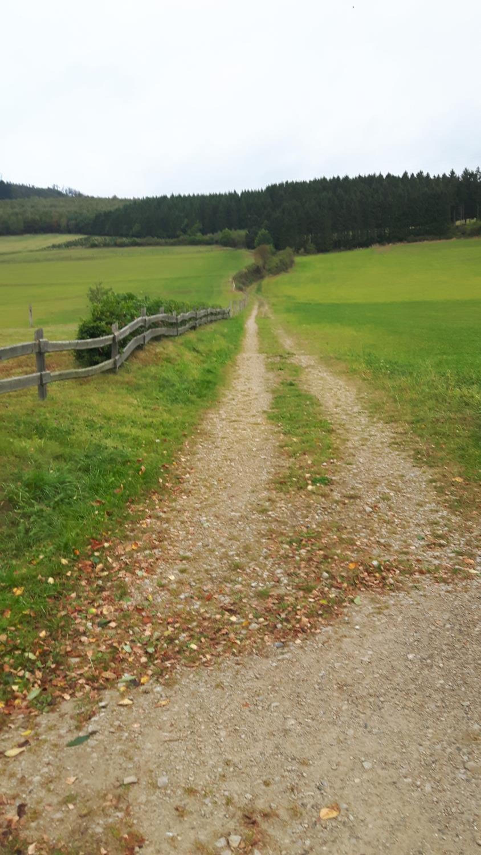 Landhaus im Grund