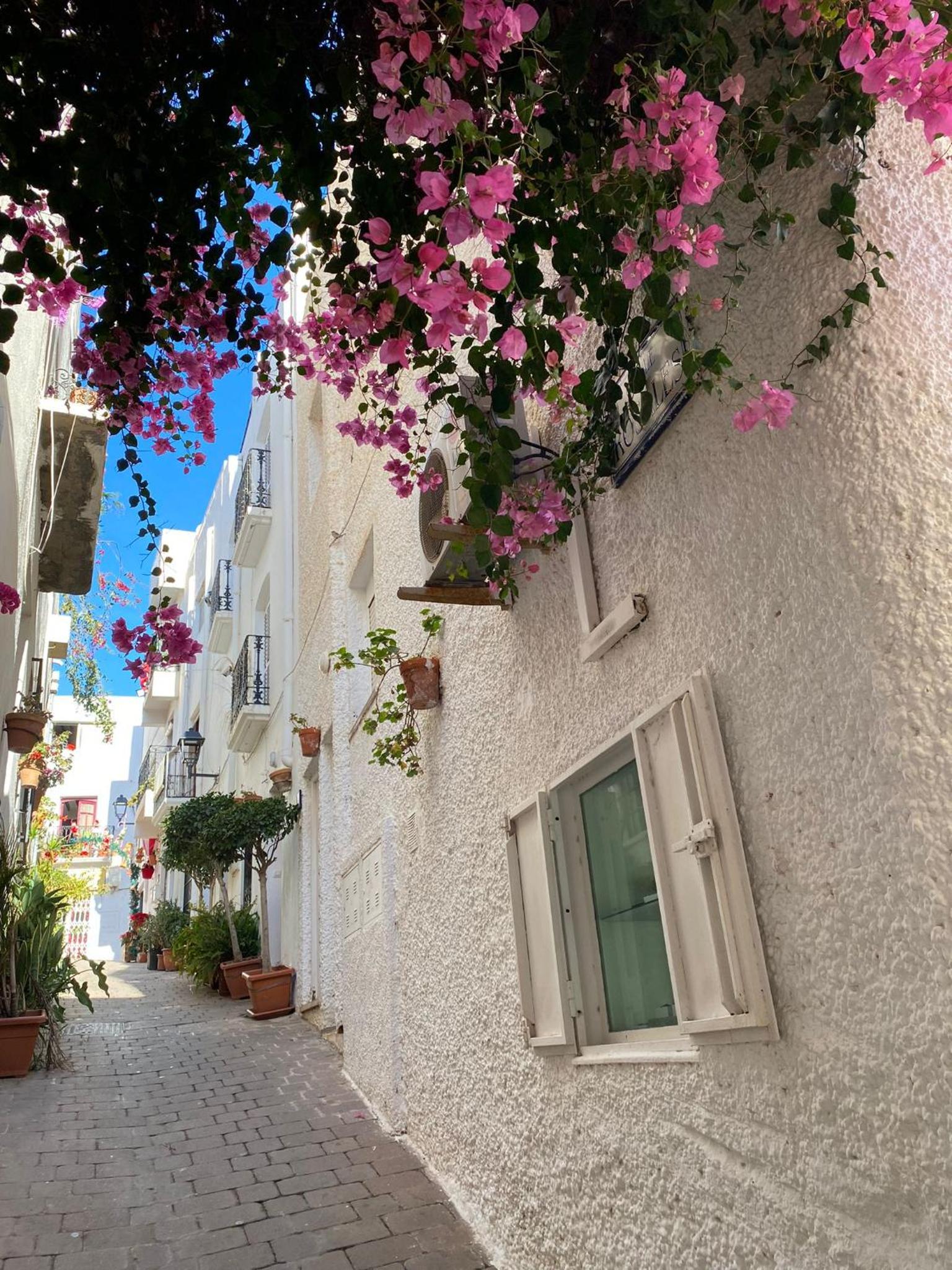 AURA MAR Mojácar Apartment