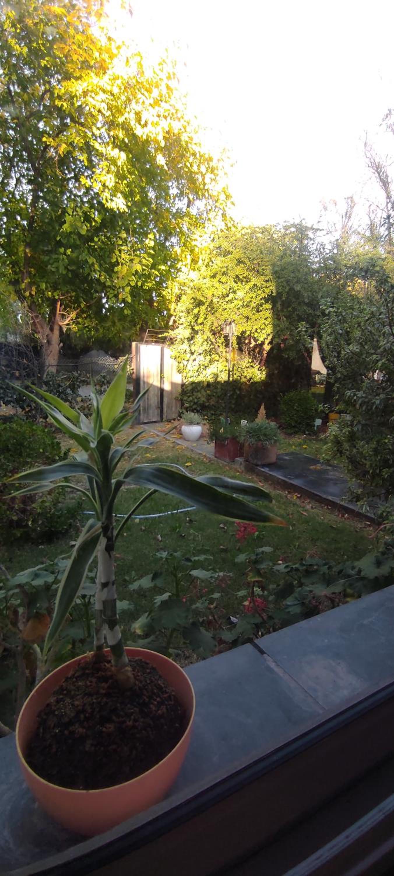 Oasis de Paz Natural
