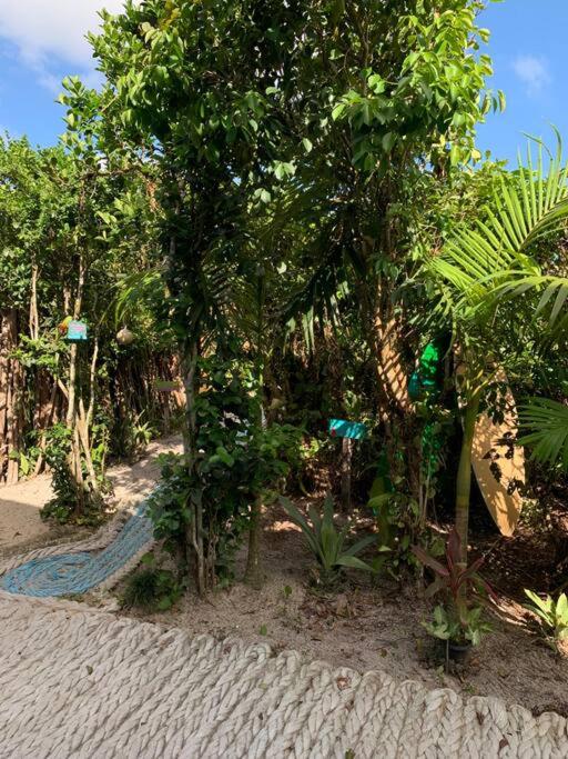 Bela Vista - Casa Beira Mar