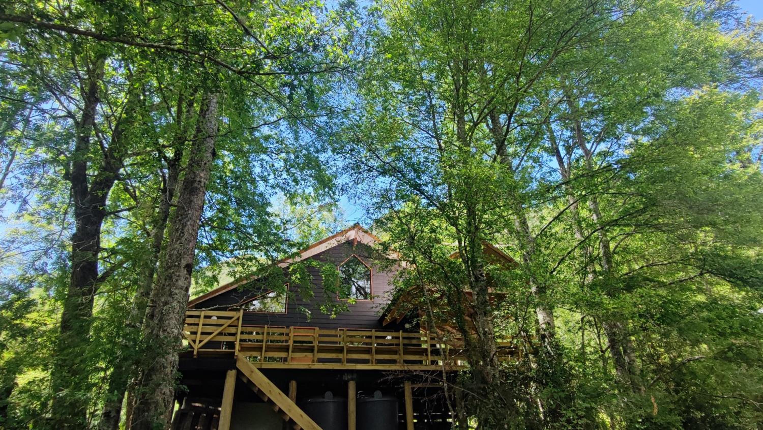 Cabaña Bosque Río