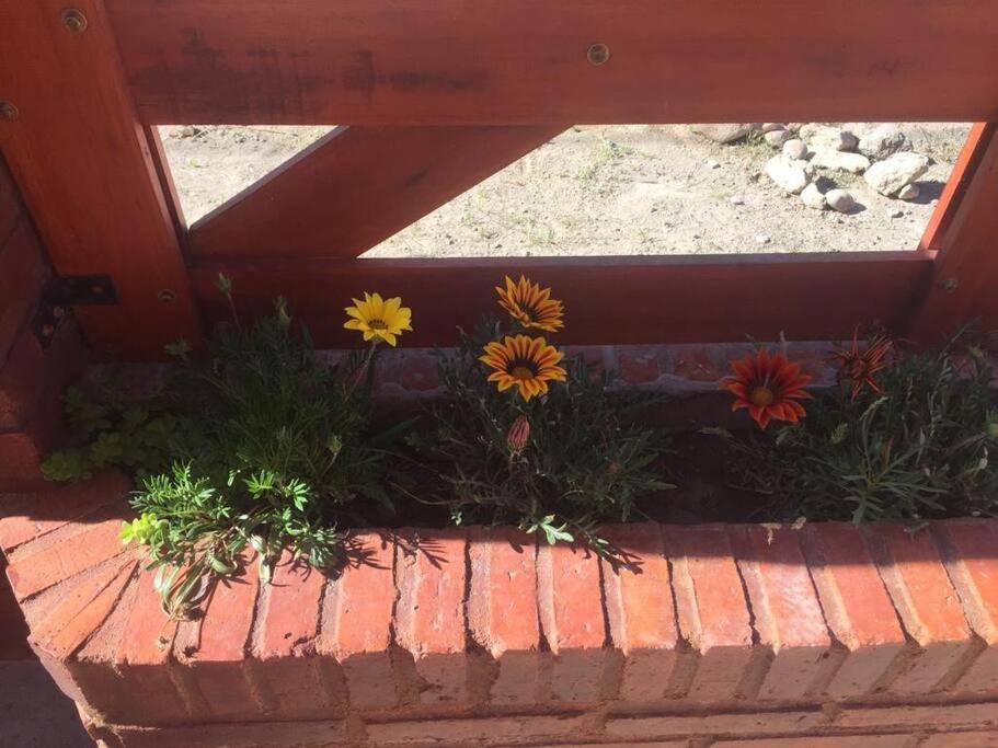 Casa Las Dunas Doradas