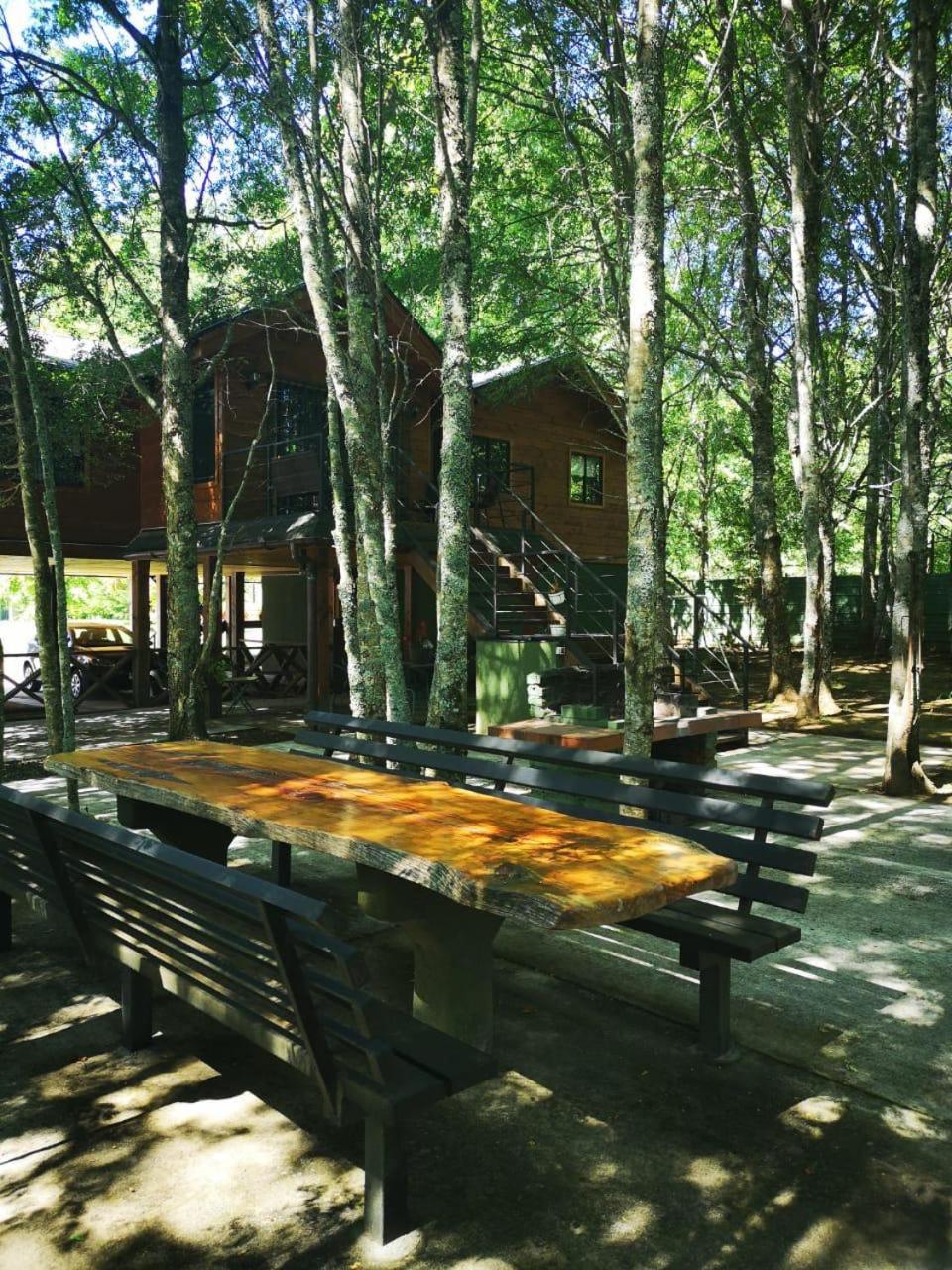 Hostal y cabañas puerto pucon