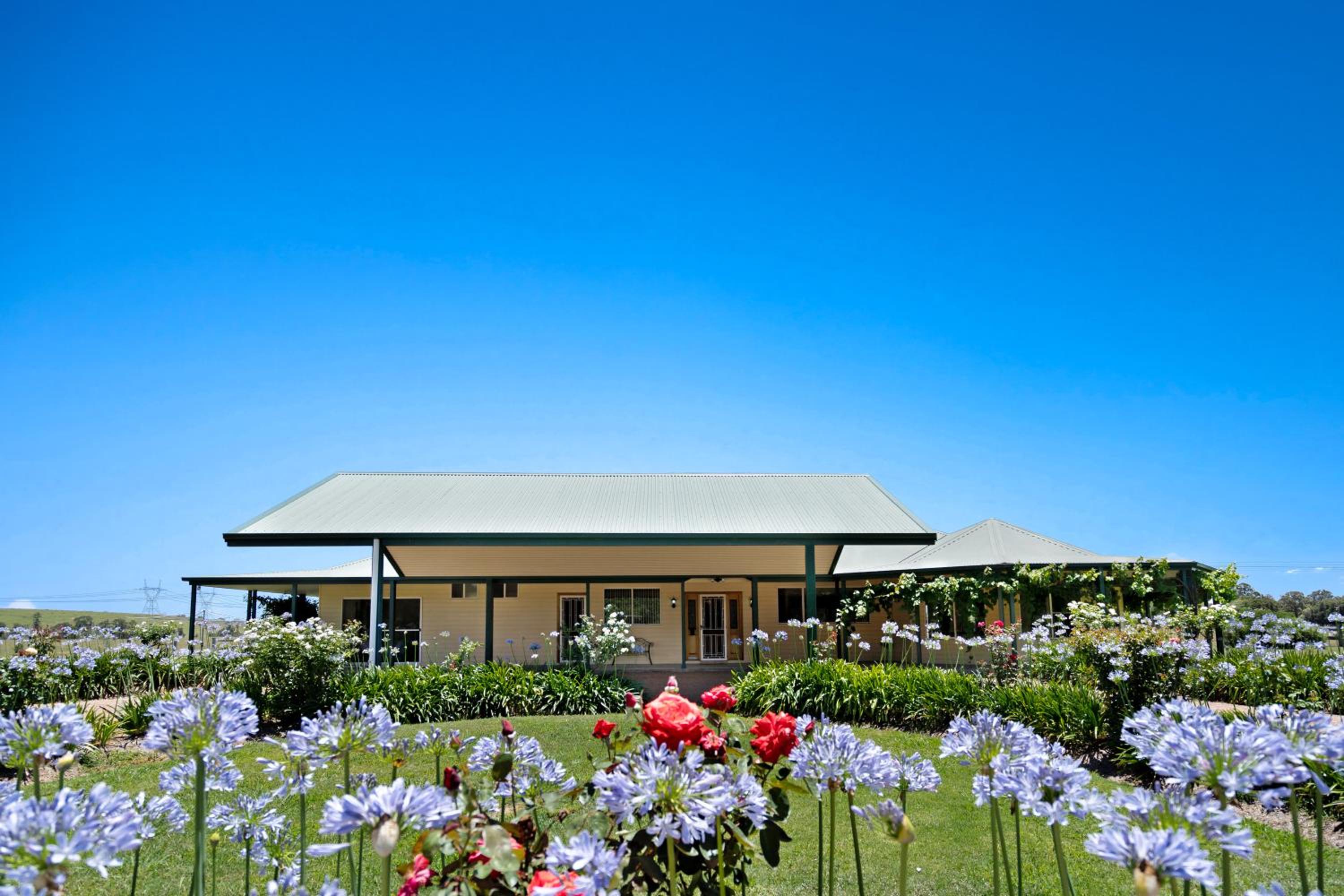 Black Creek Paddock