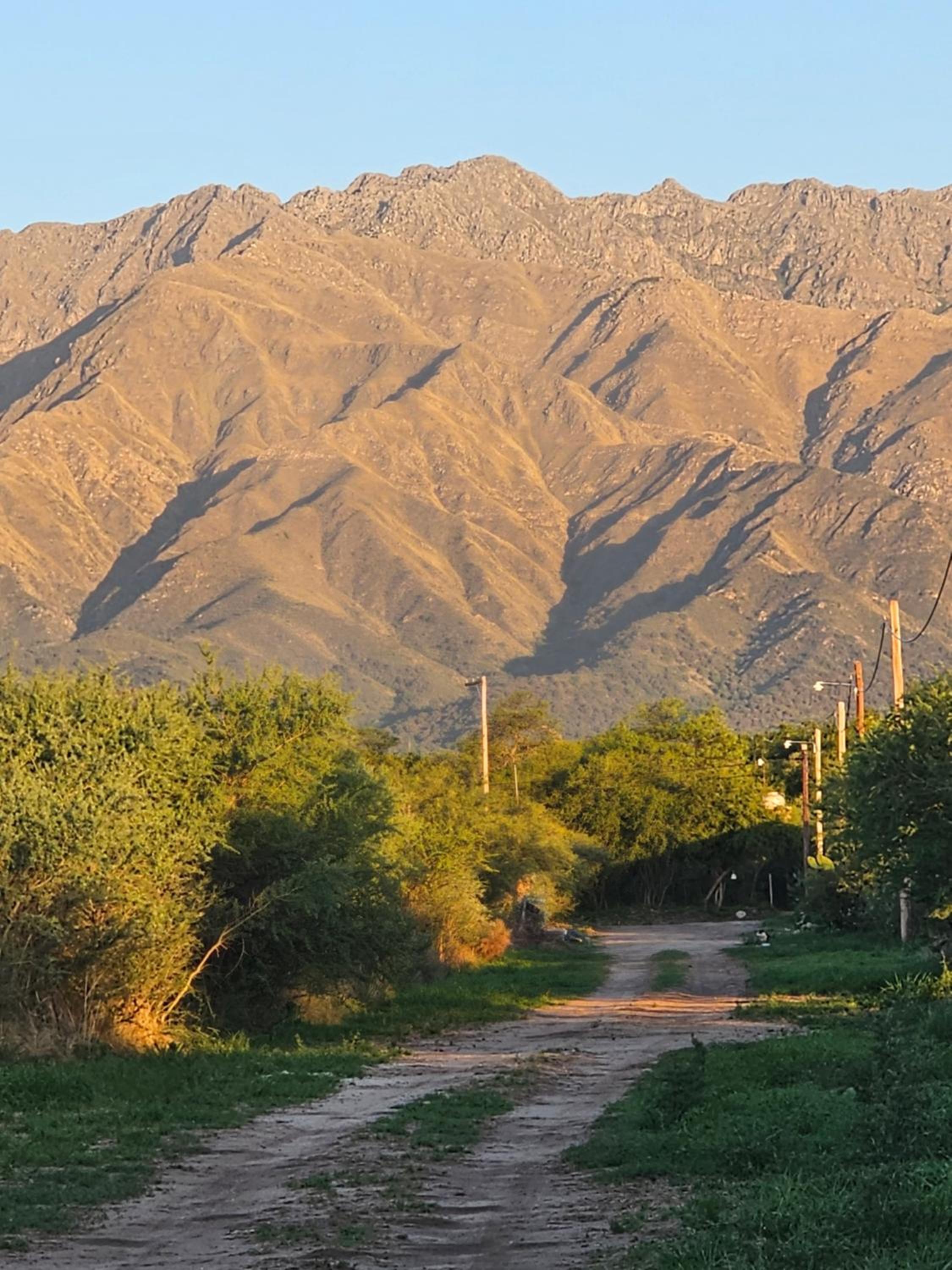 Raíces serranas