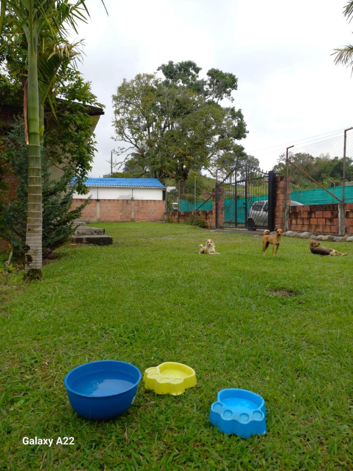 ISA BELLA Hospedaje y Cabaña Entre Aves