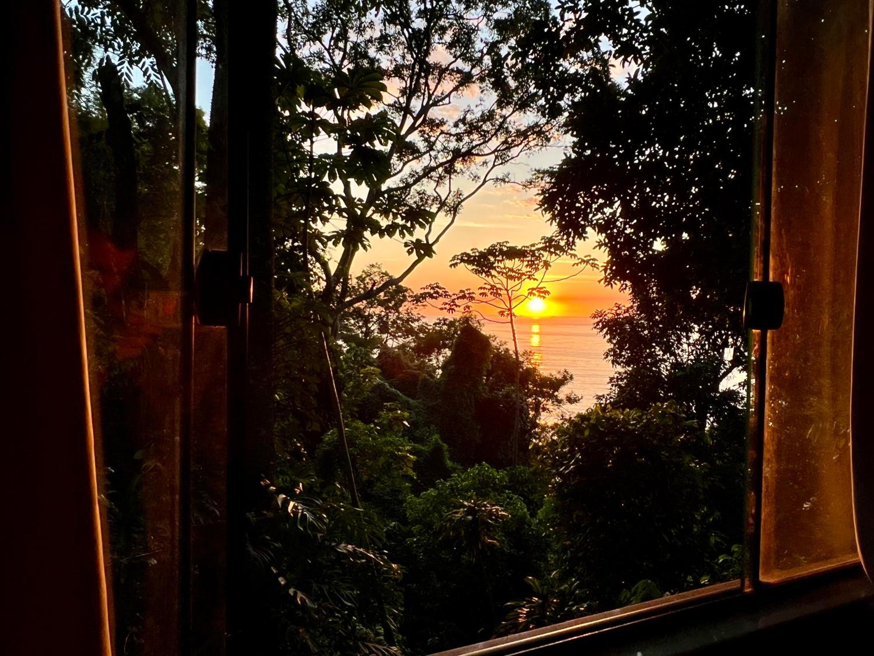 Amazing forest House in the city! Private guest suite - double studio room