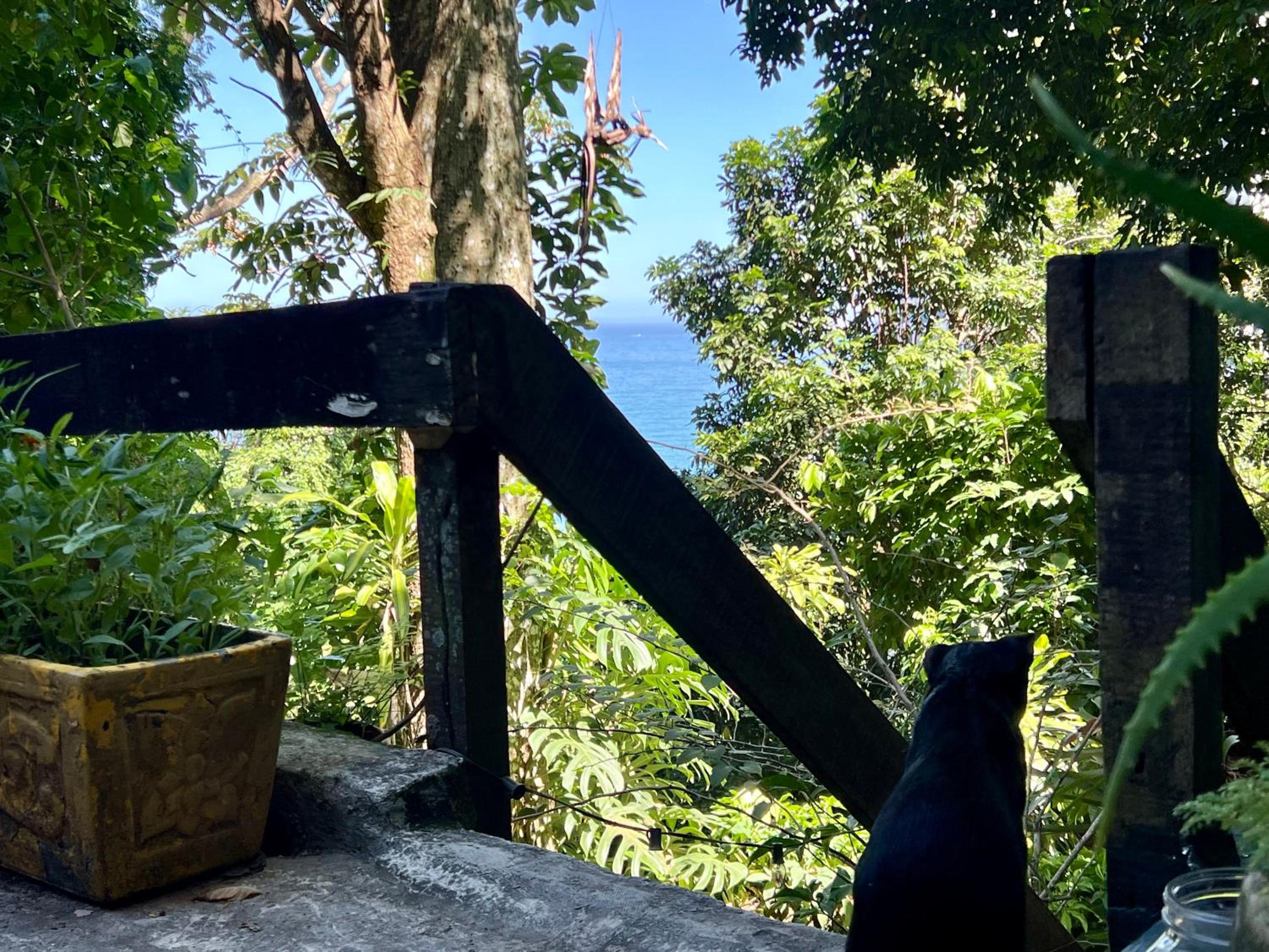 Amazing forest House in the city! Private guest suite - double studio room