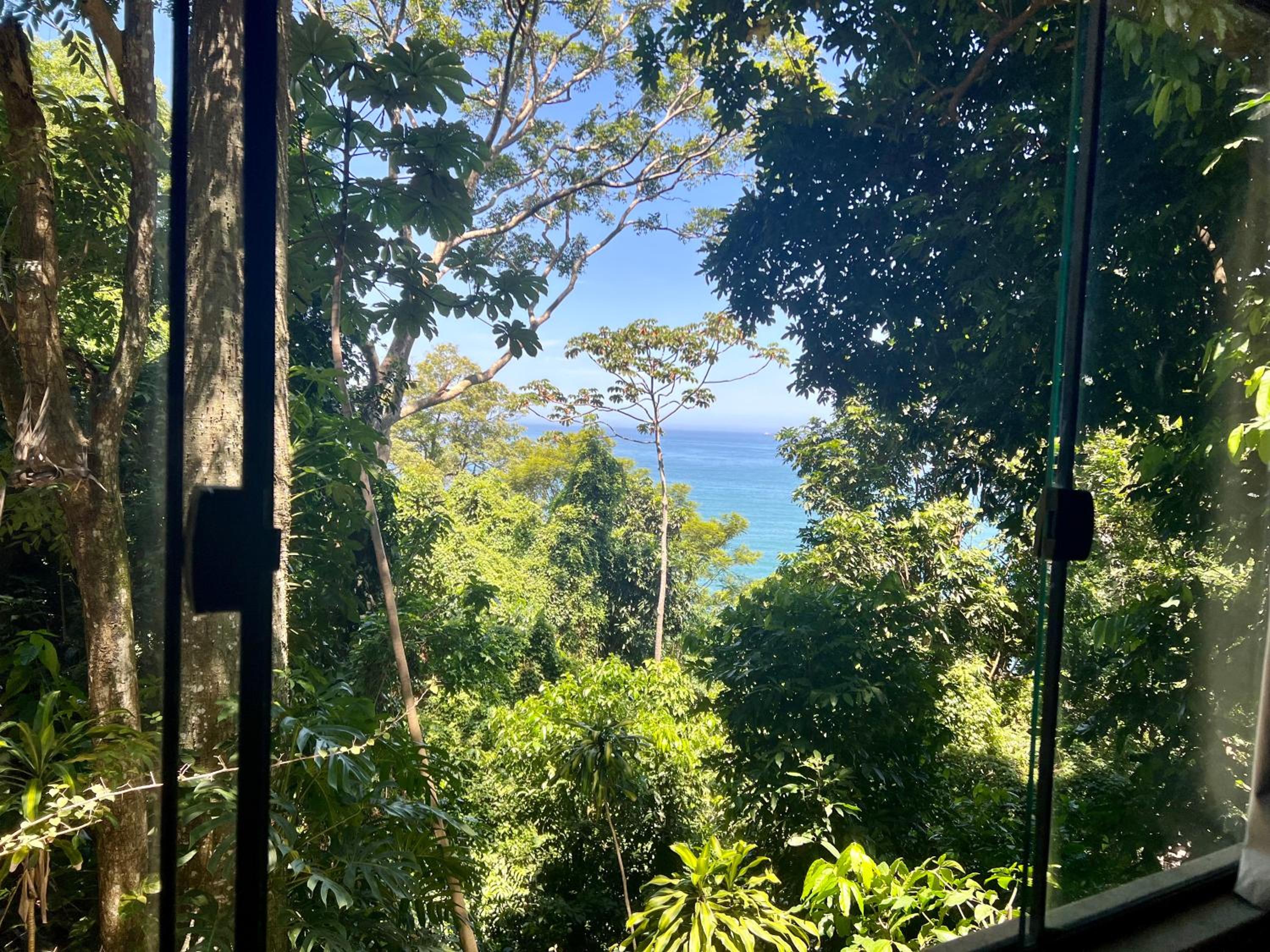 Amazing forest House in the city! Private guest suite - double studio room