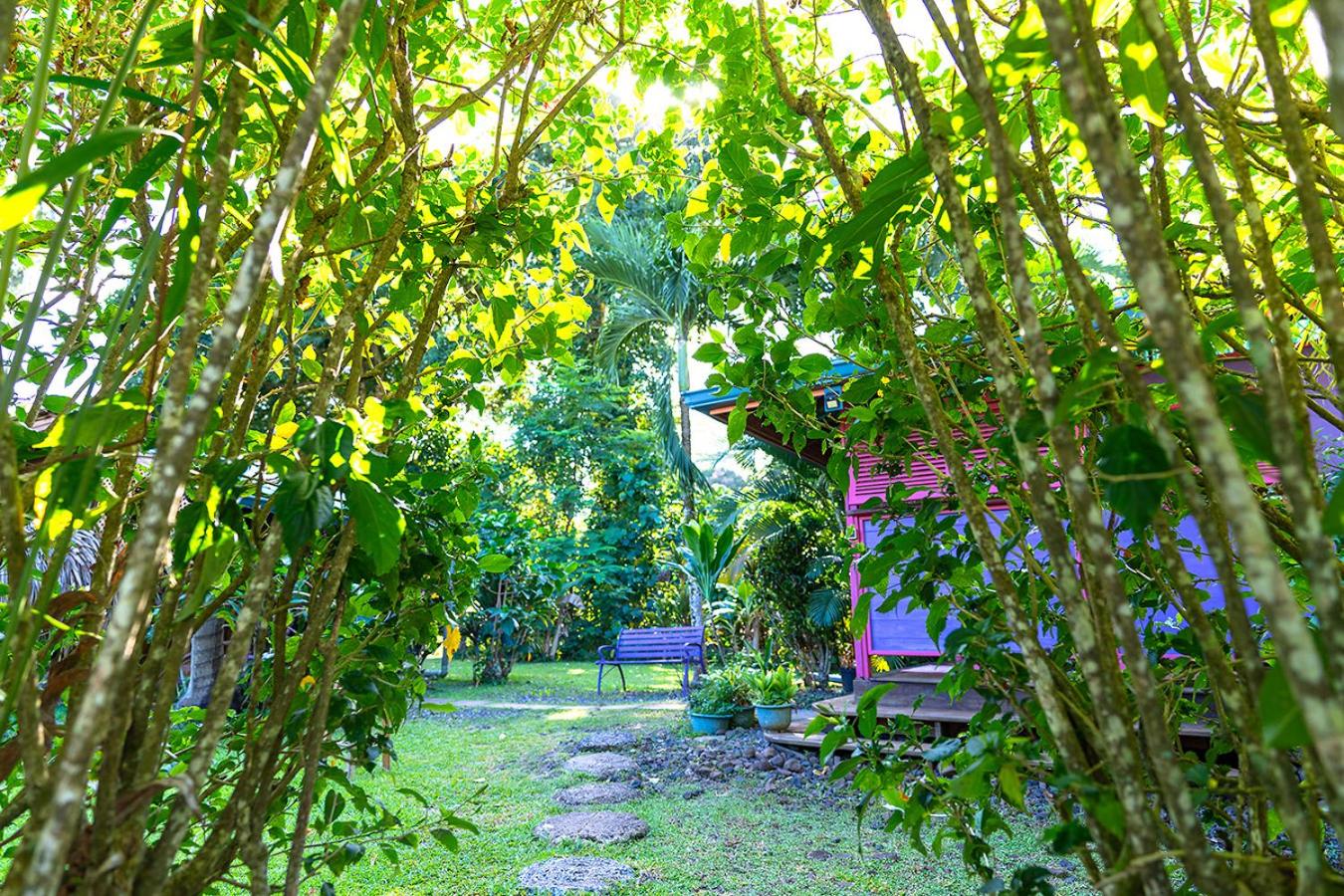 Heimanarii's Lodge - Fare Fetia view 2