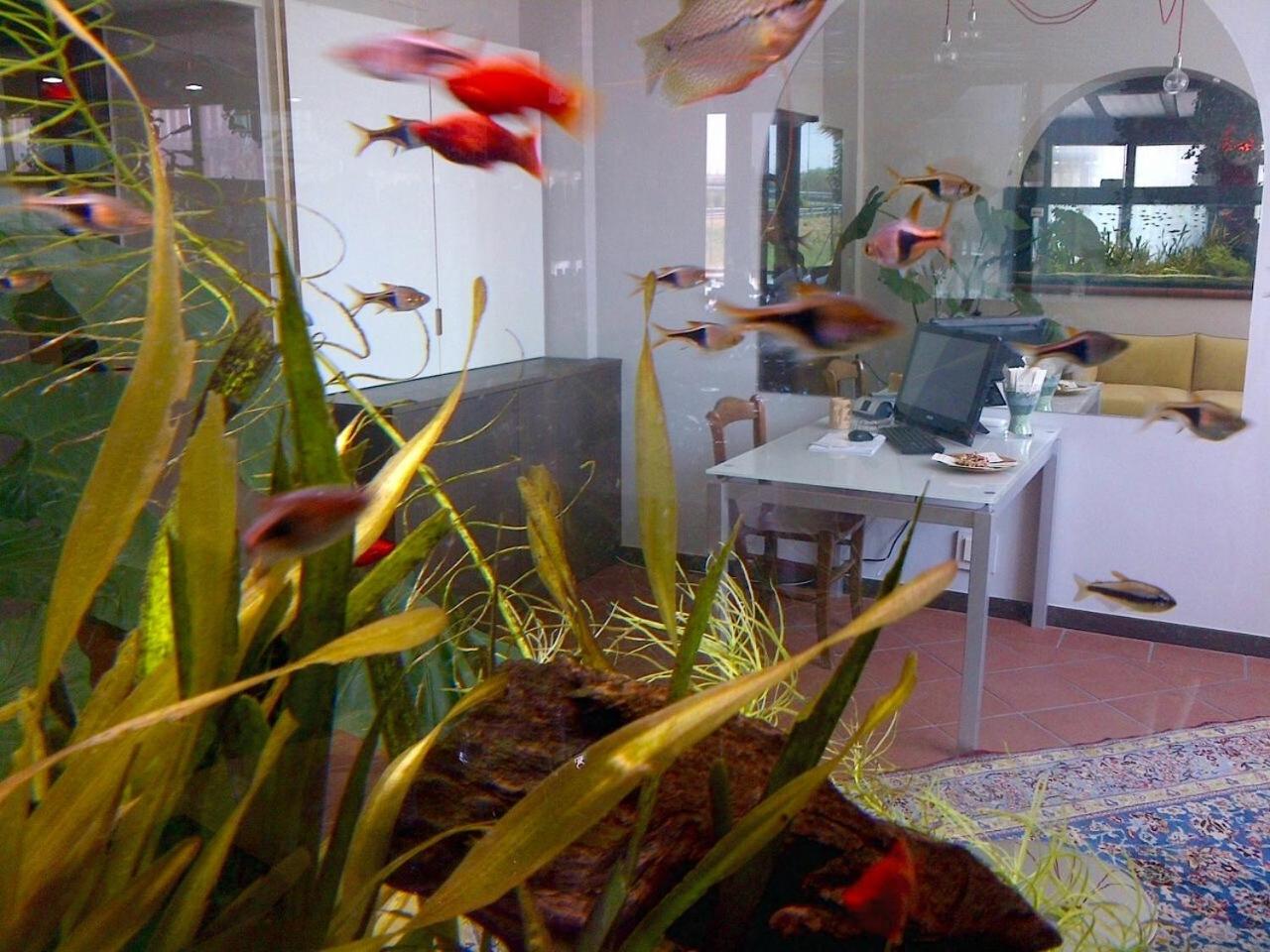 Locanda Ai Due Orsi