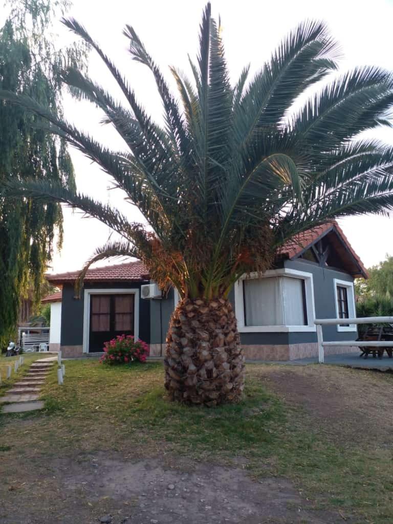 Cabañas Sangiovese San Rafael