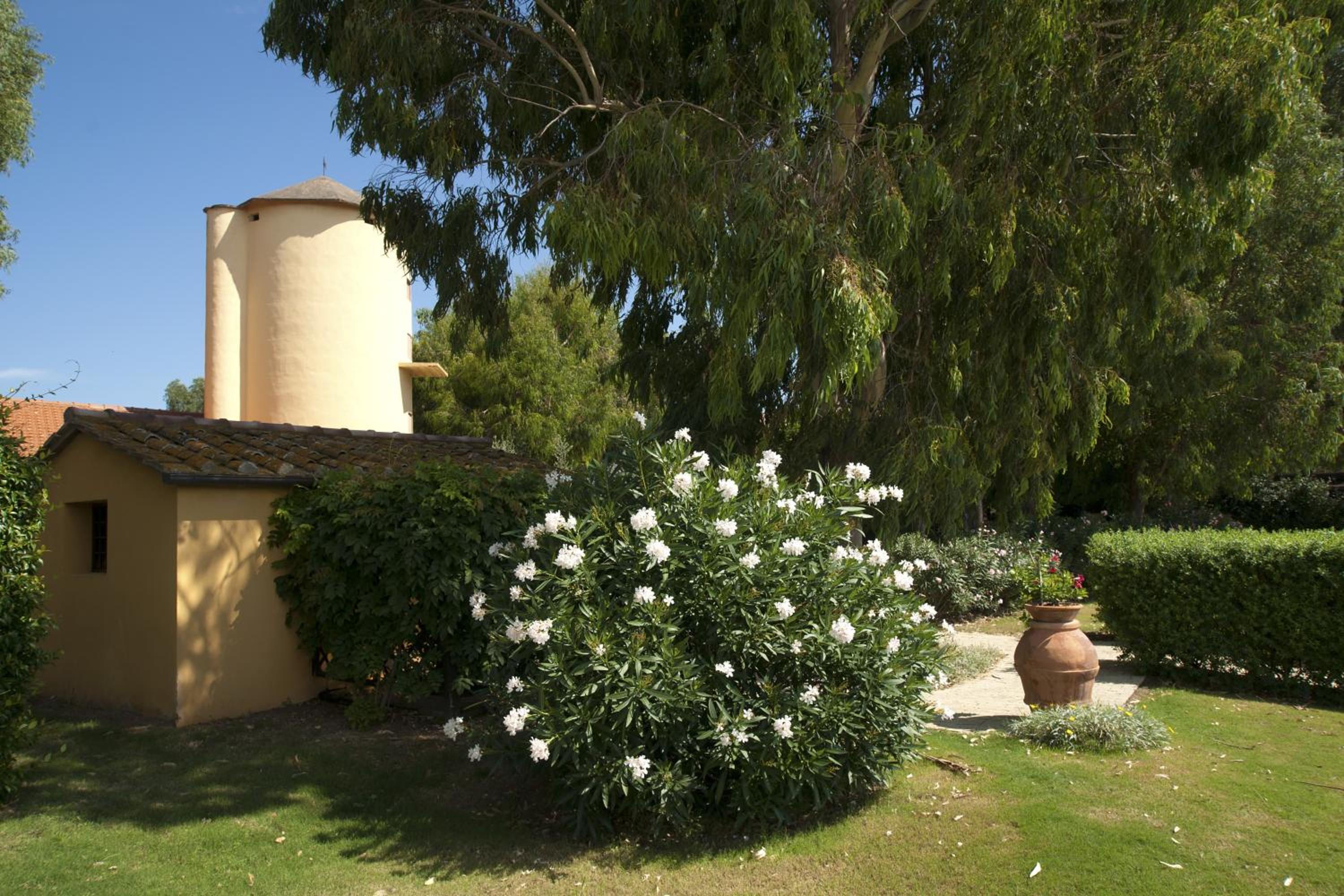Photo 38