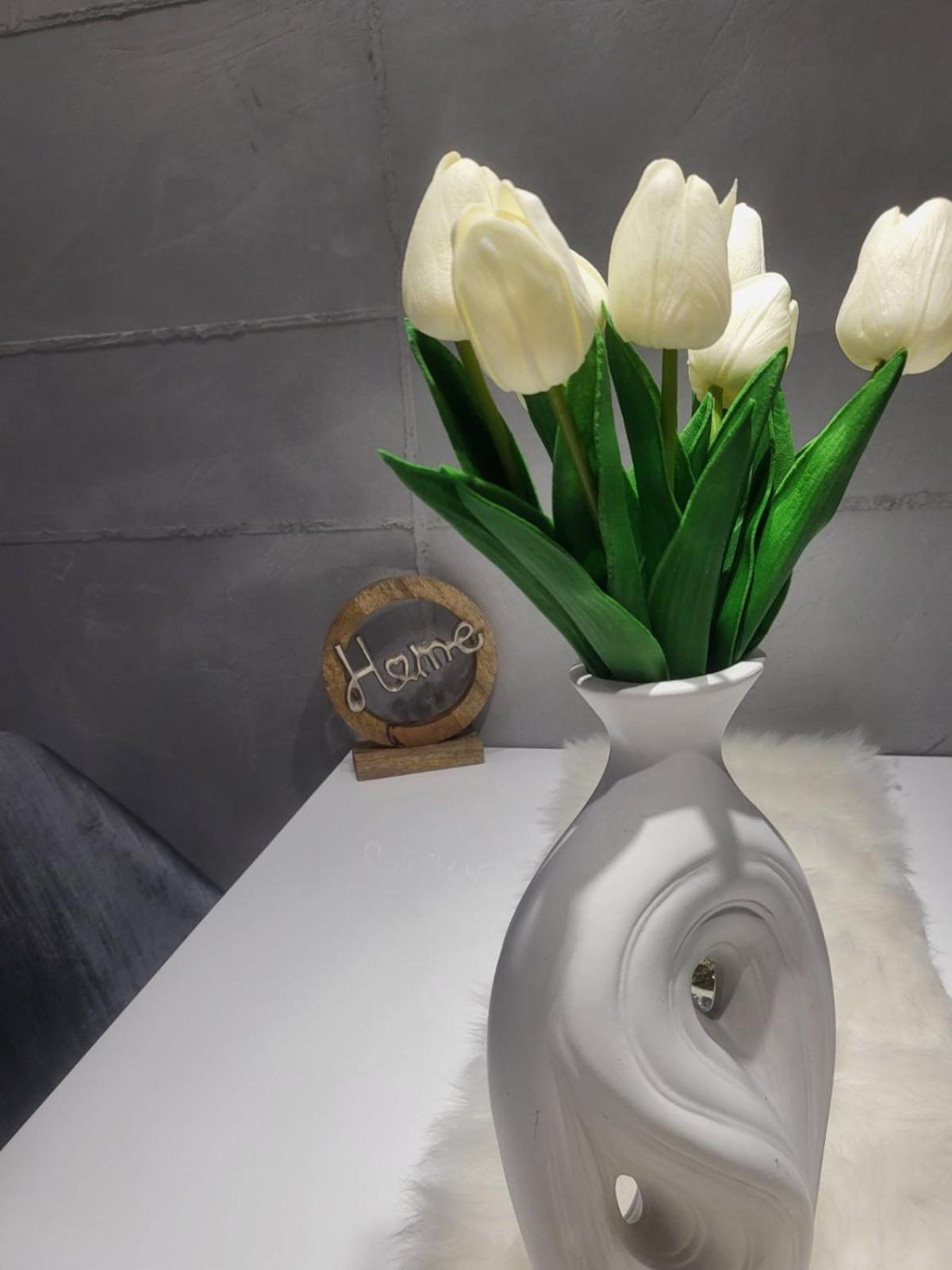 Lux apartman central 48- vila Pekovic view 5